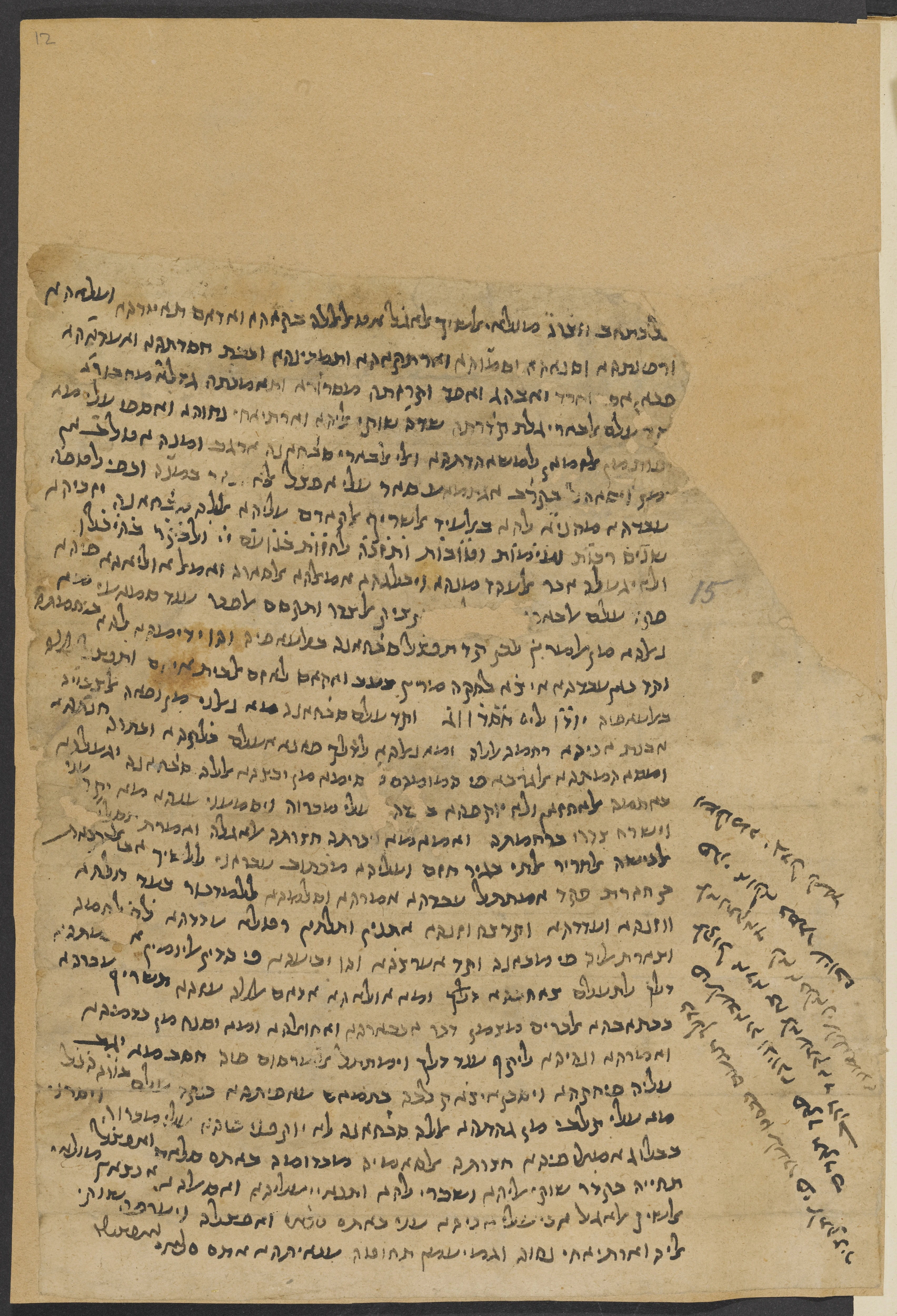 Image of item, e.g. a manuscript page