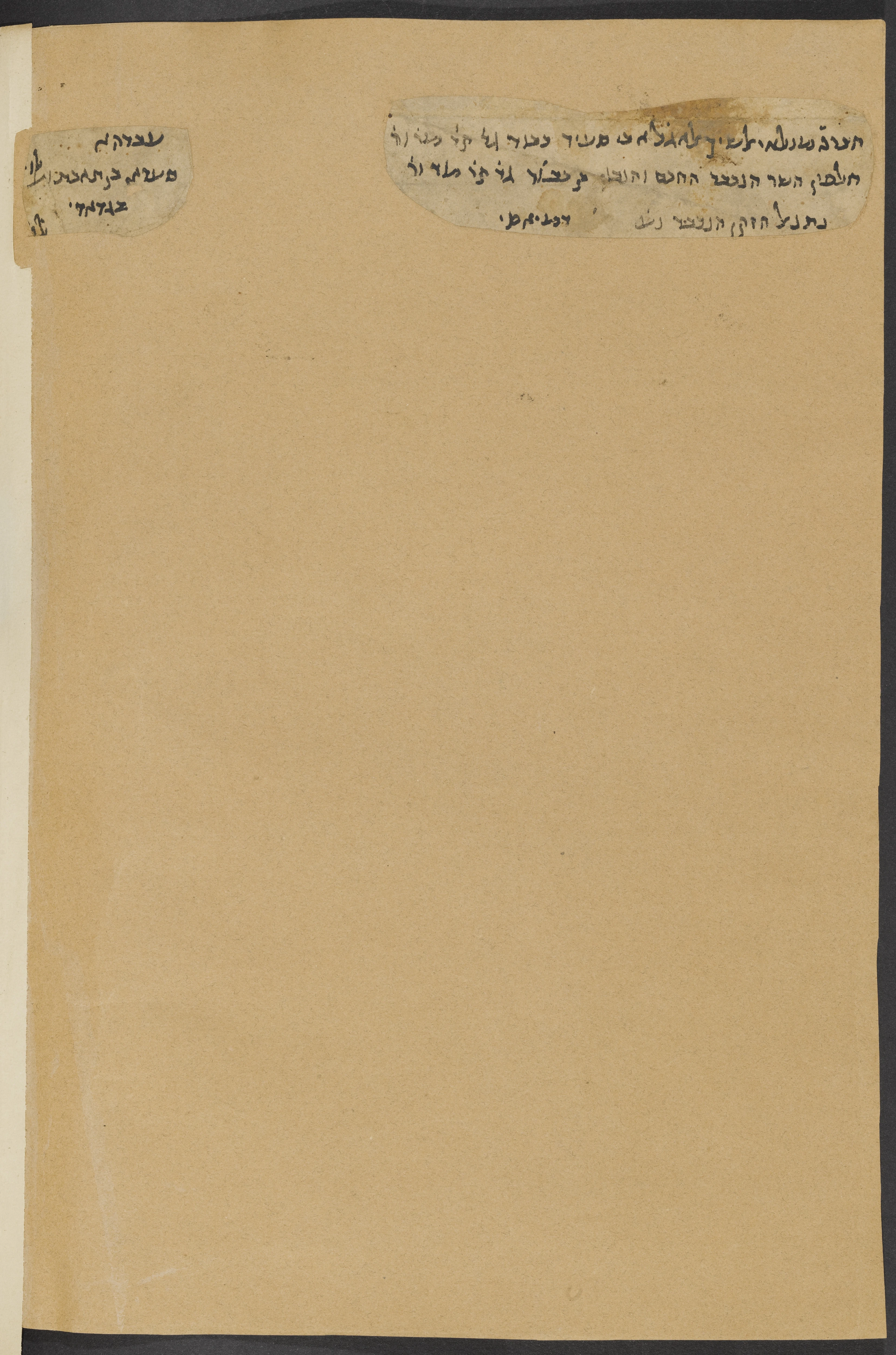 Image of item, e.g. a manuscript page