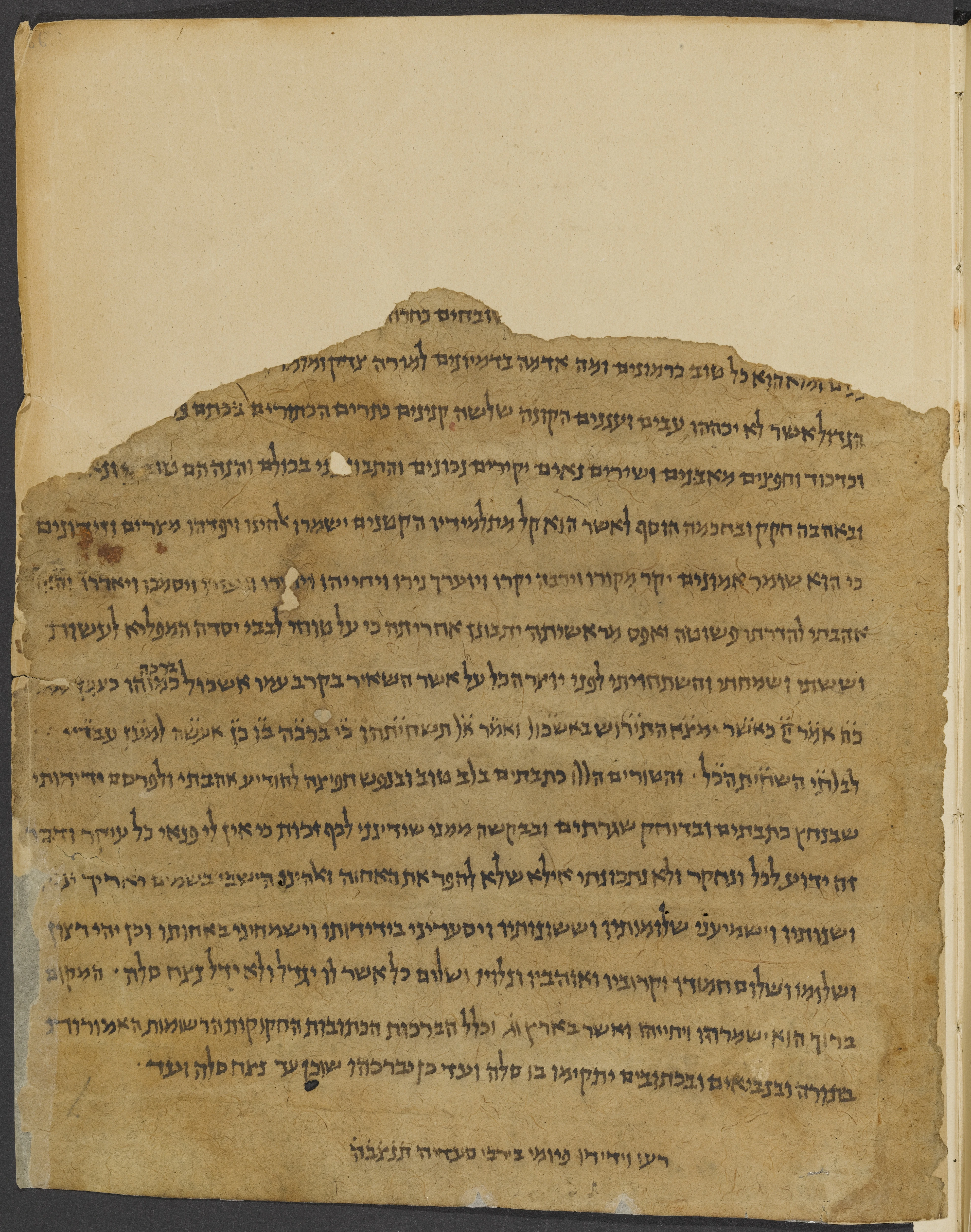 Image of item, e.g. a manuscript page