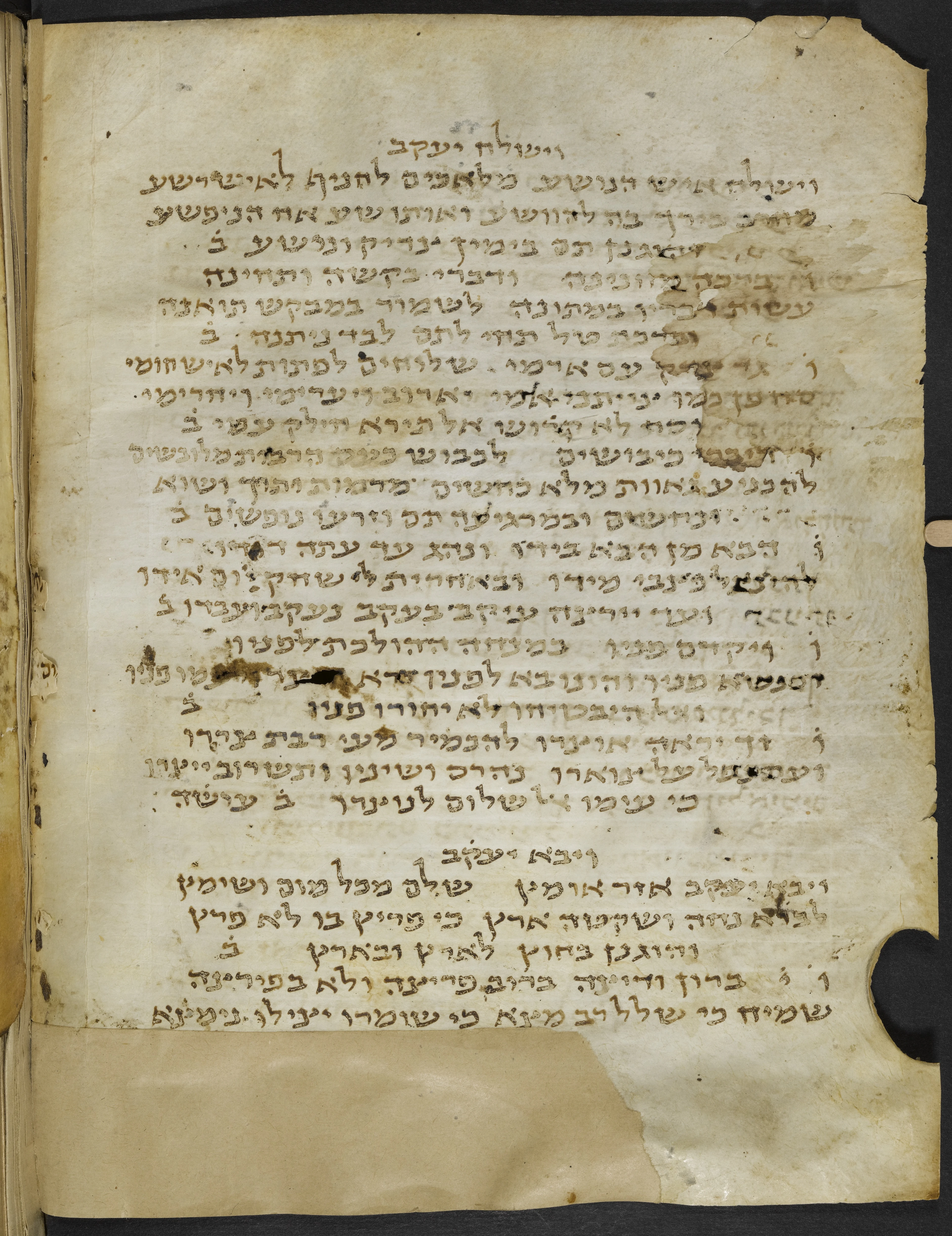 Image of item, e.g. a manuscript page