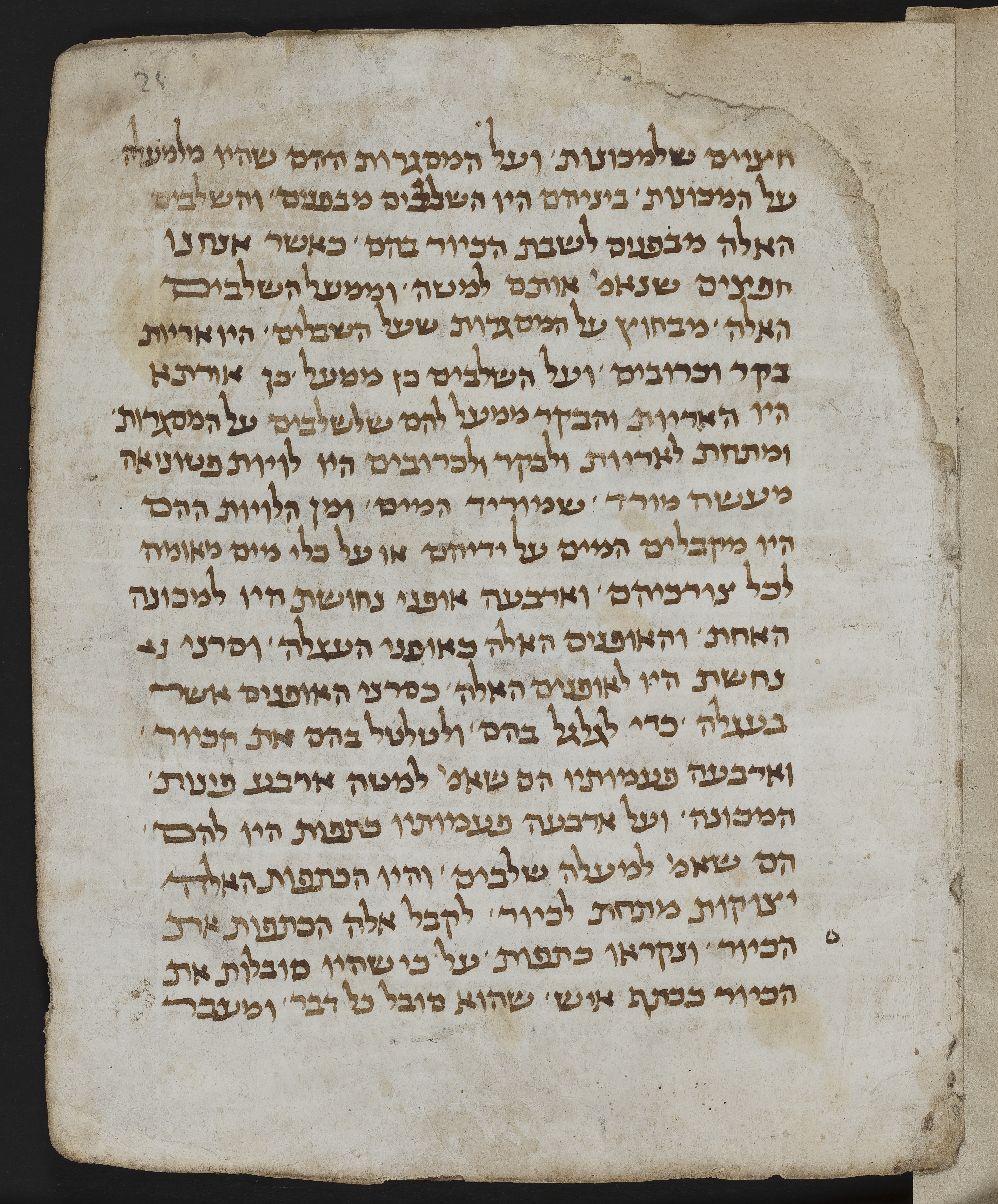 Image of item, e.g. a manuscript page