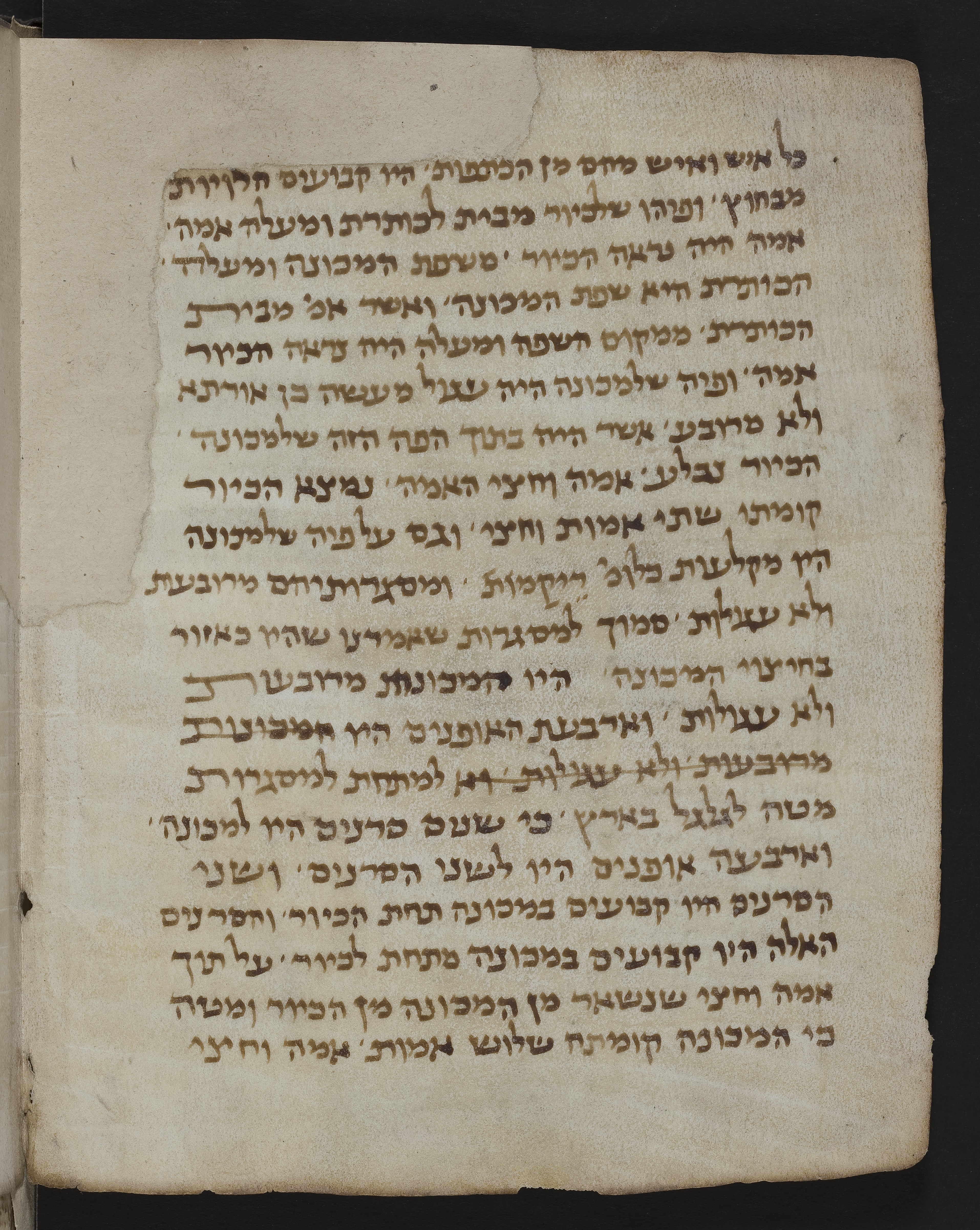 Image of item, e.g. a manuscript page