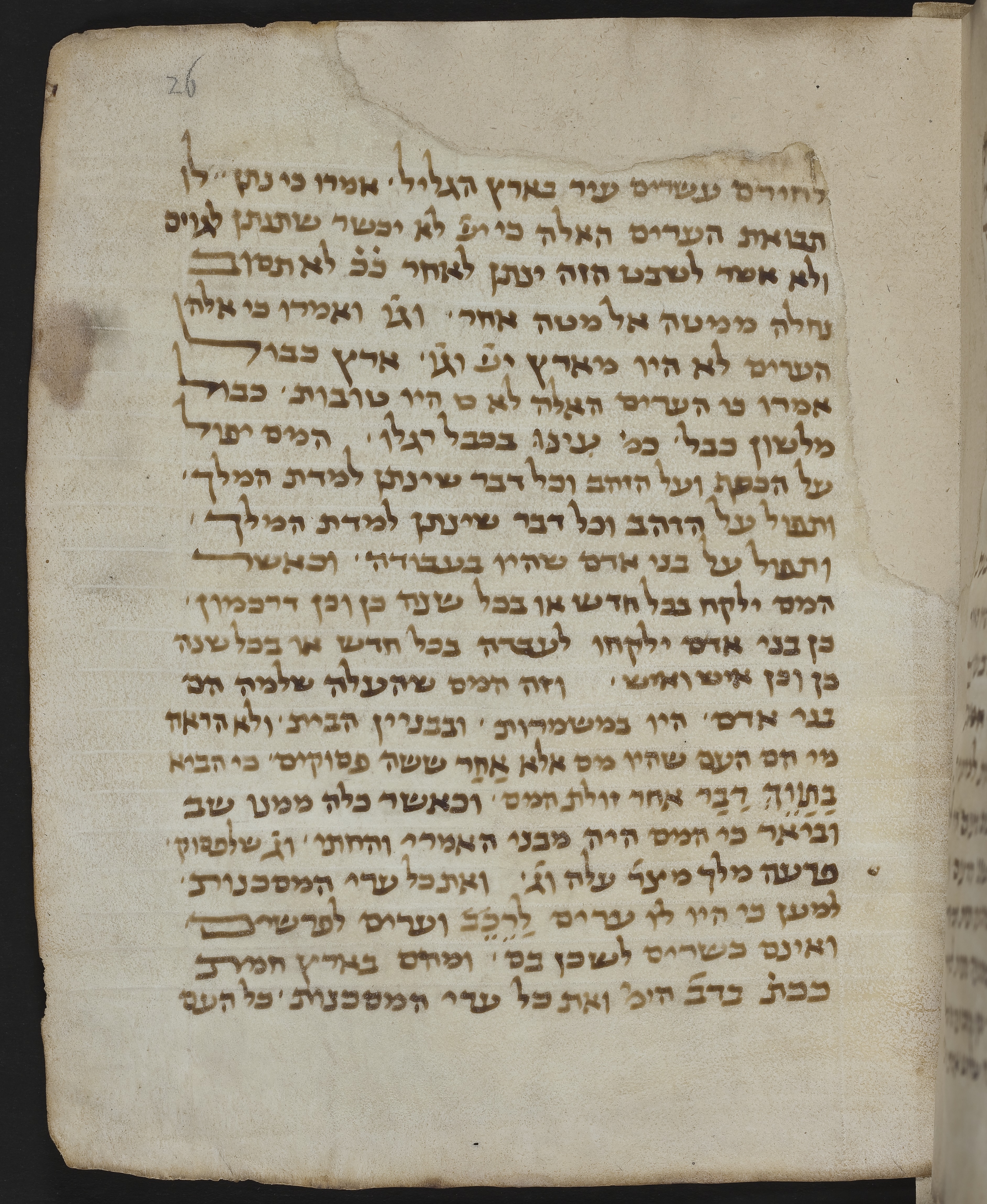 Image of item, e.g. a manuscript page