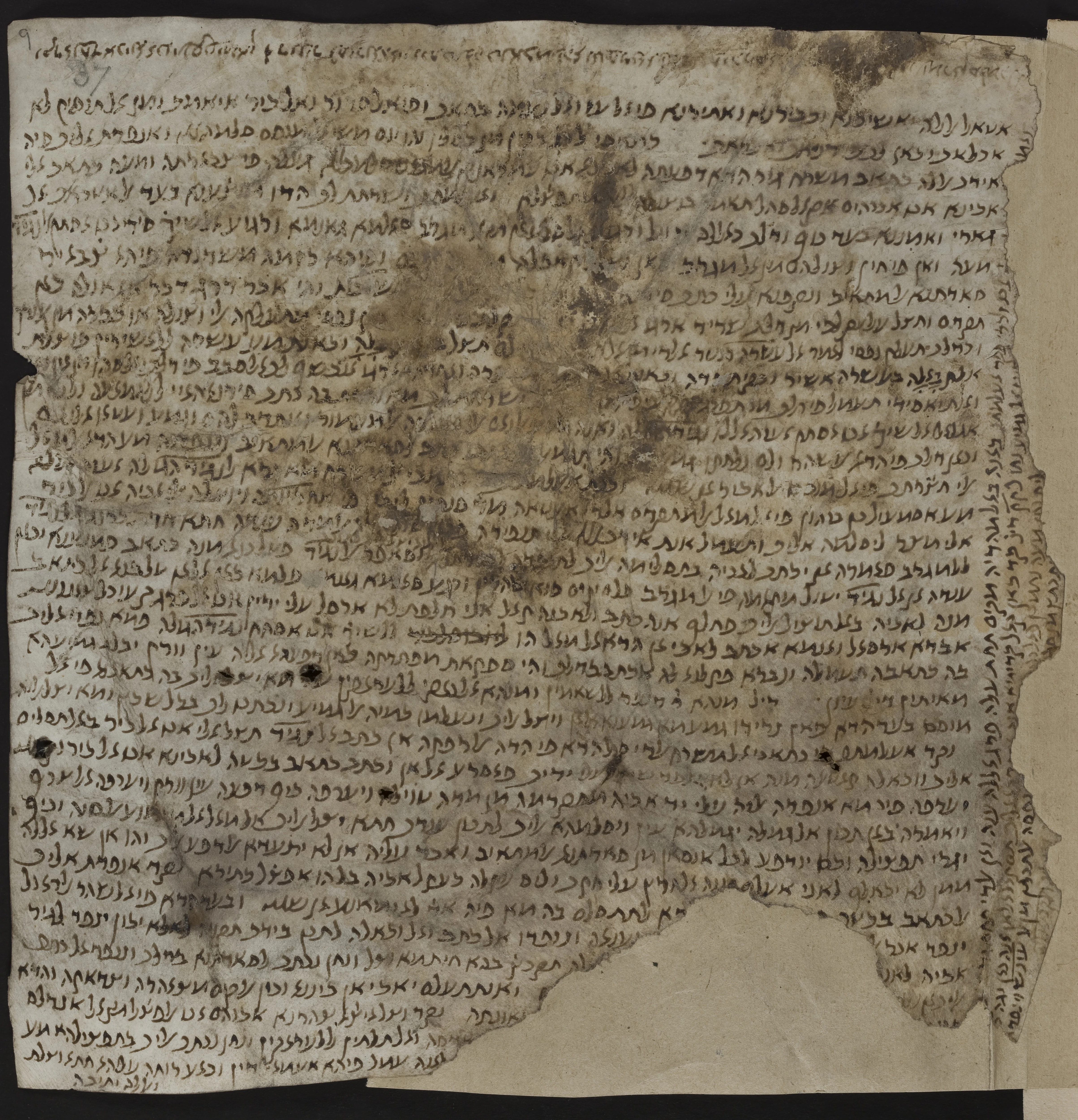 Image of item, e.g. a manuscript page