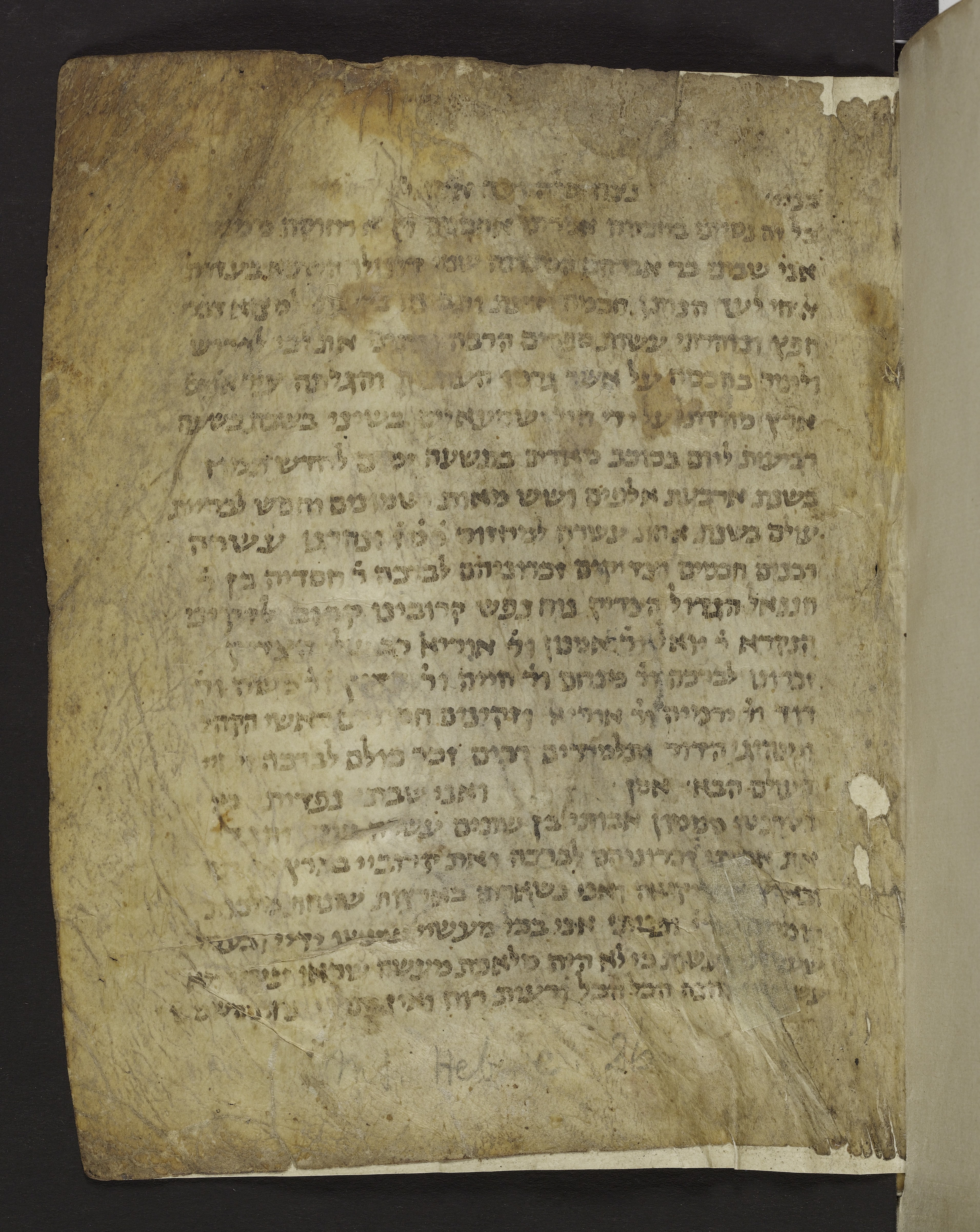 Image of item, e.g. a manuscript page