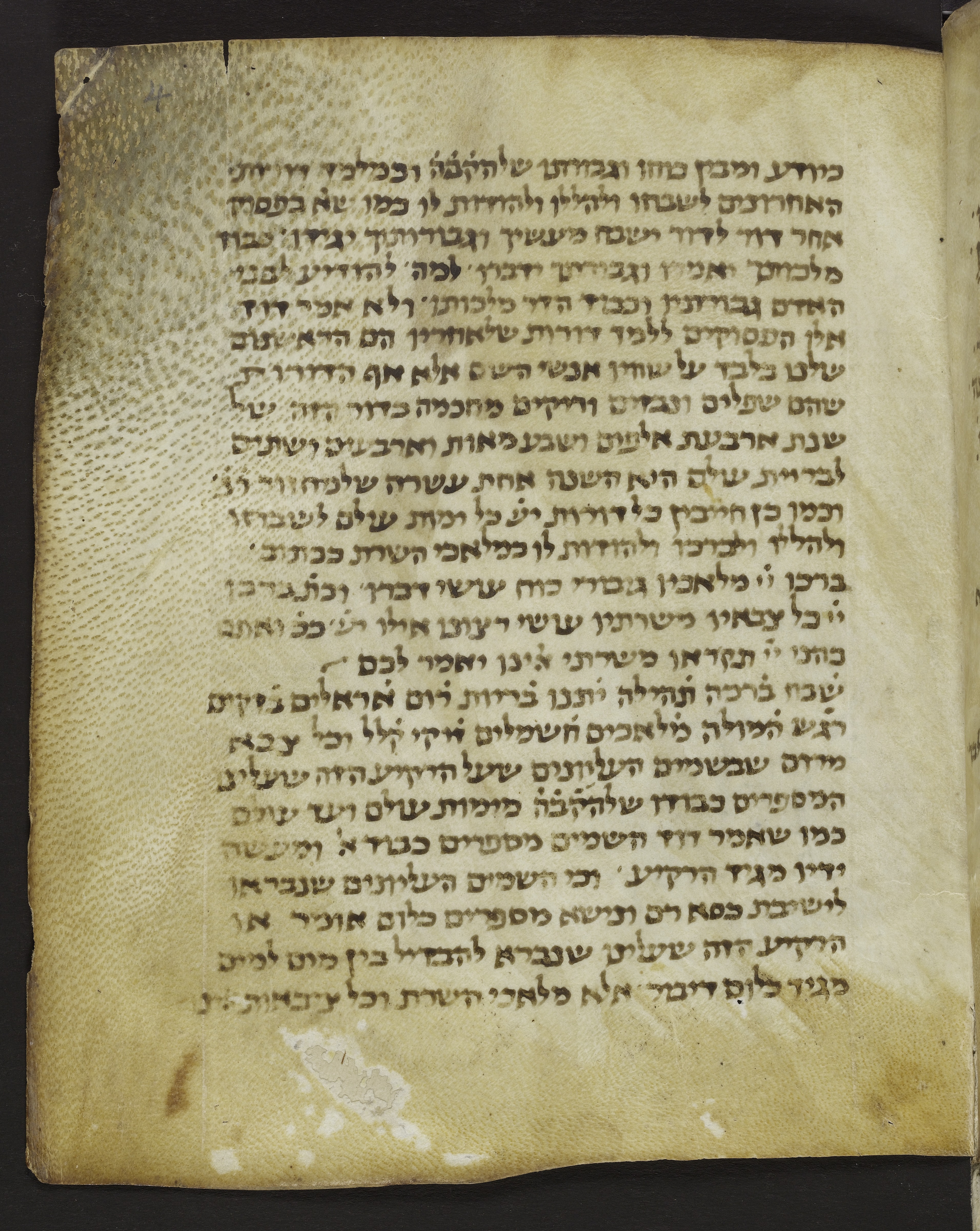 Image of item, e.g. a manuscript page