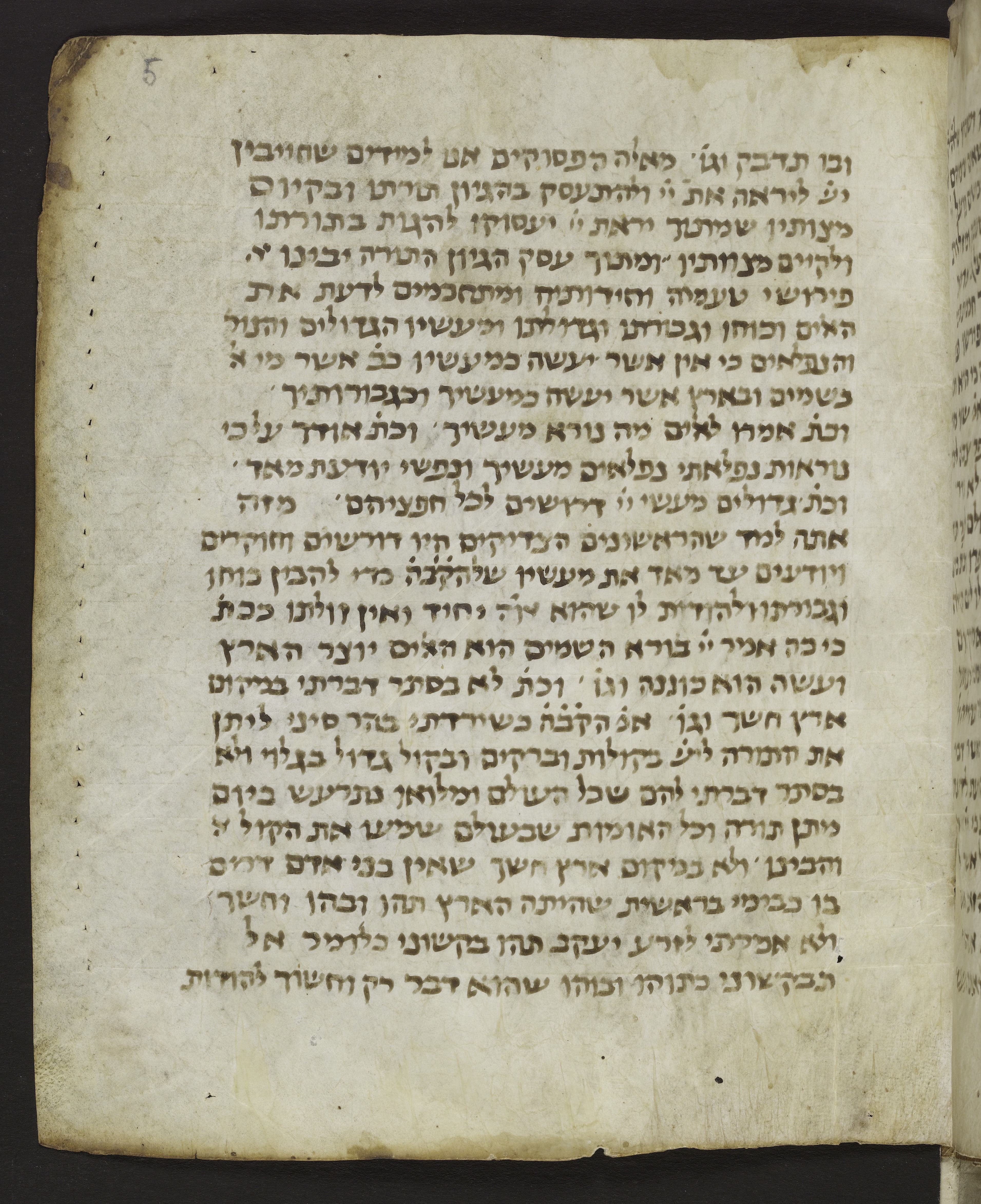 Image of item, e.g. a manuscript page