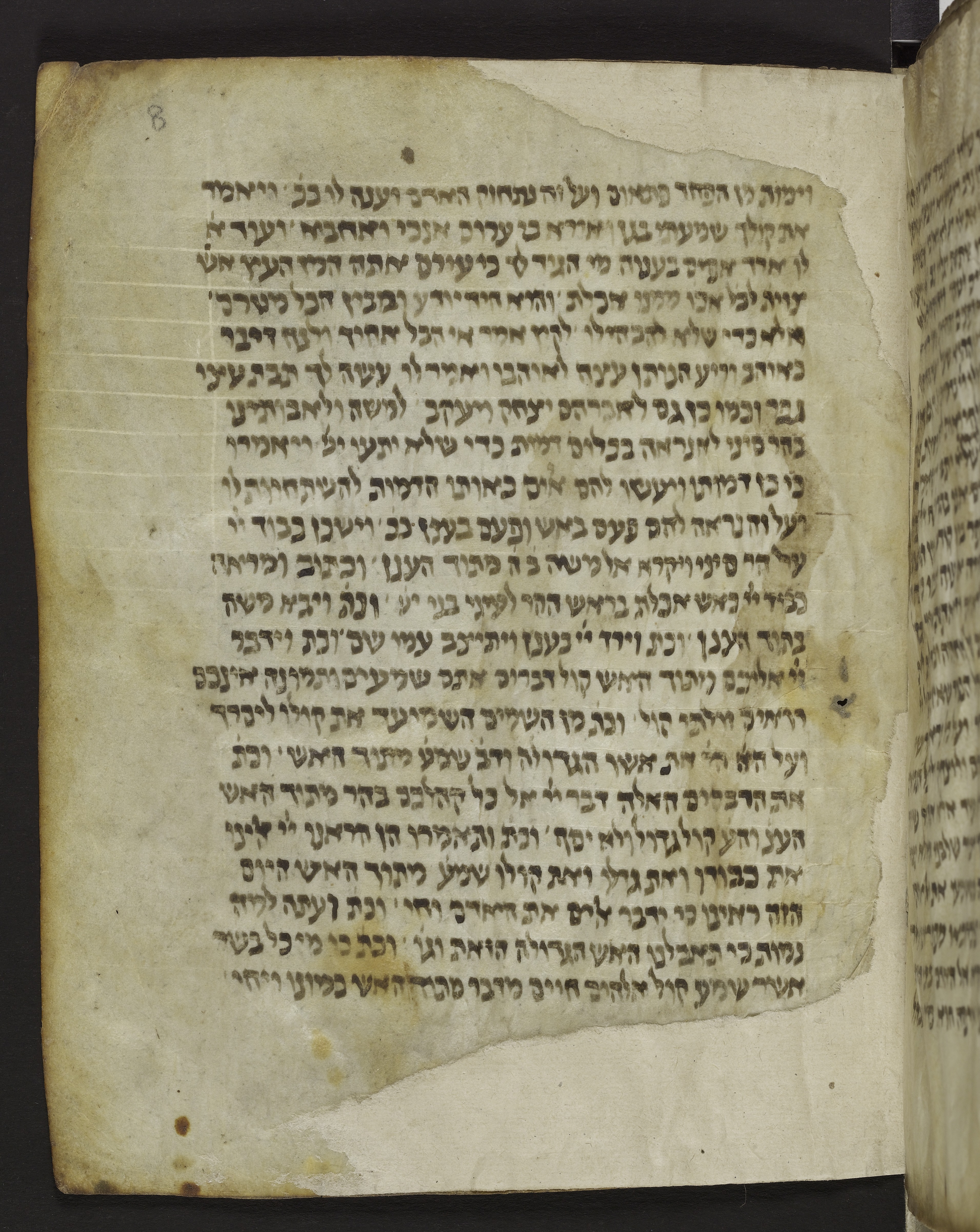 Image of item, e.g. a manuscript page