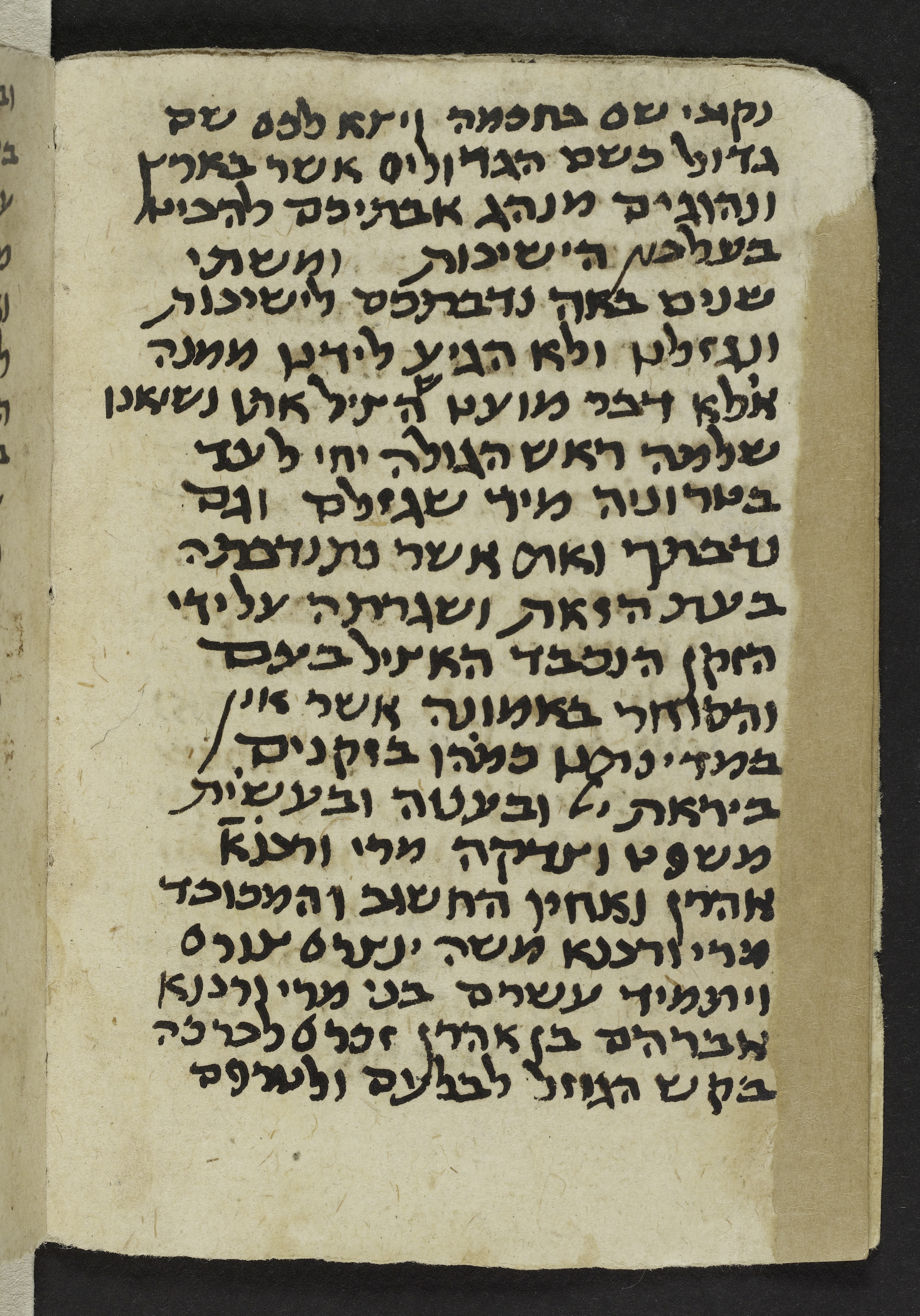 Image of item, e.g. a manuscript page