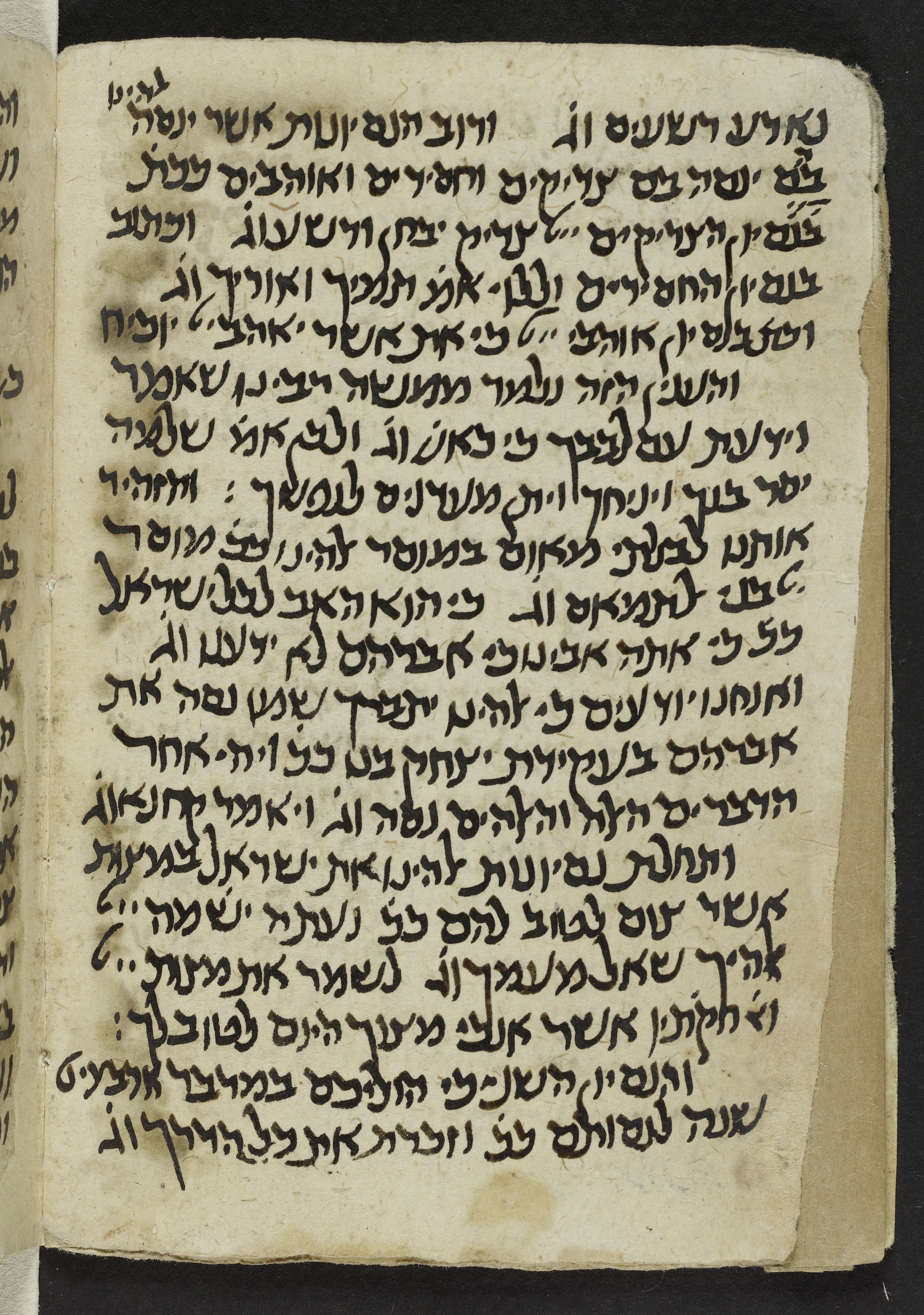 Image of item, e.g. a manuscript page