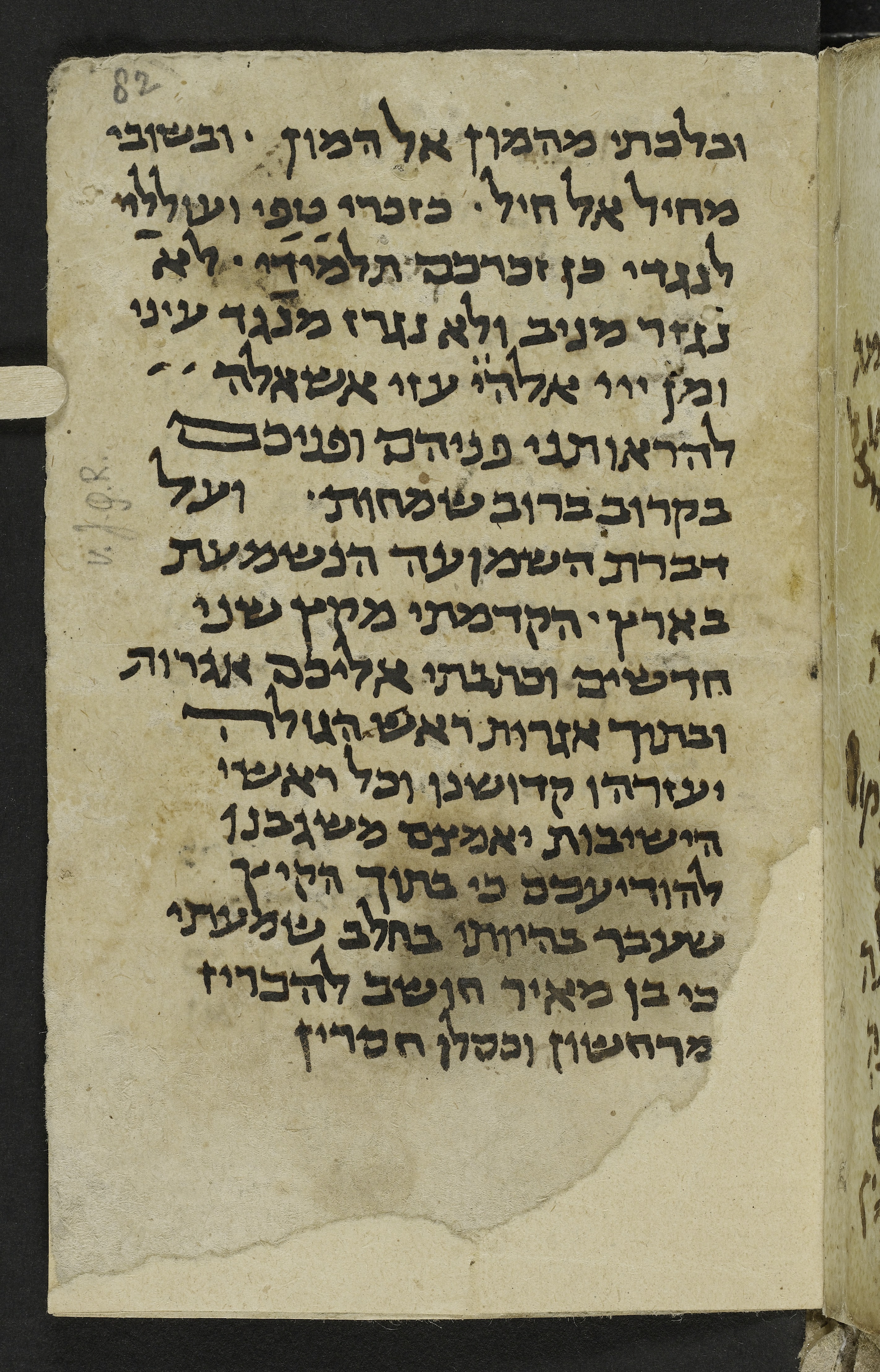 Image of item, e.g. a manuscript page