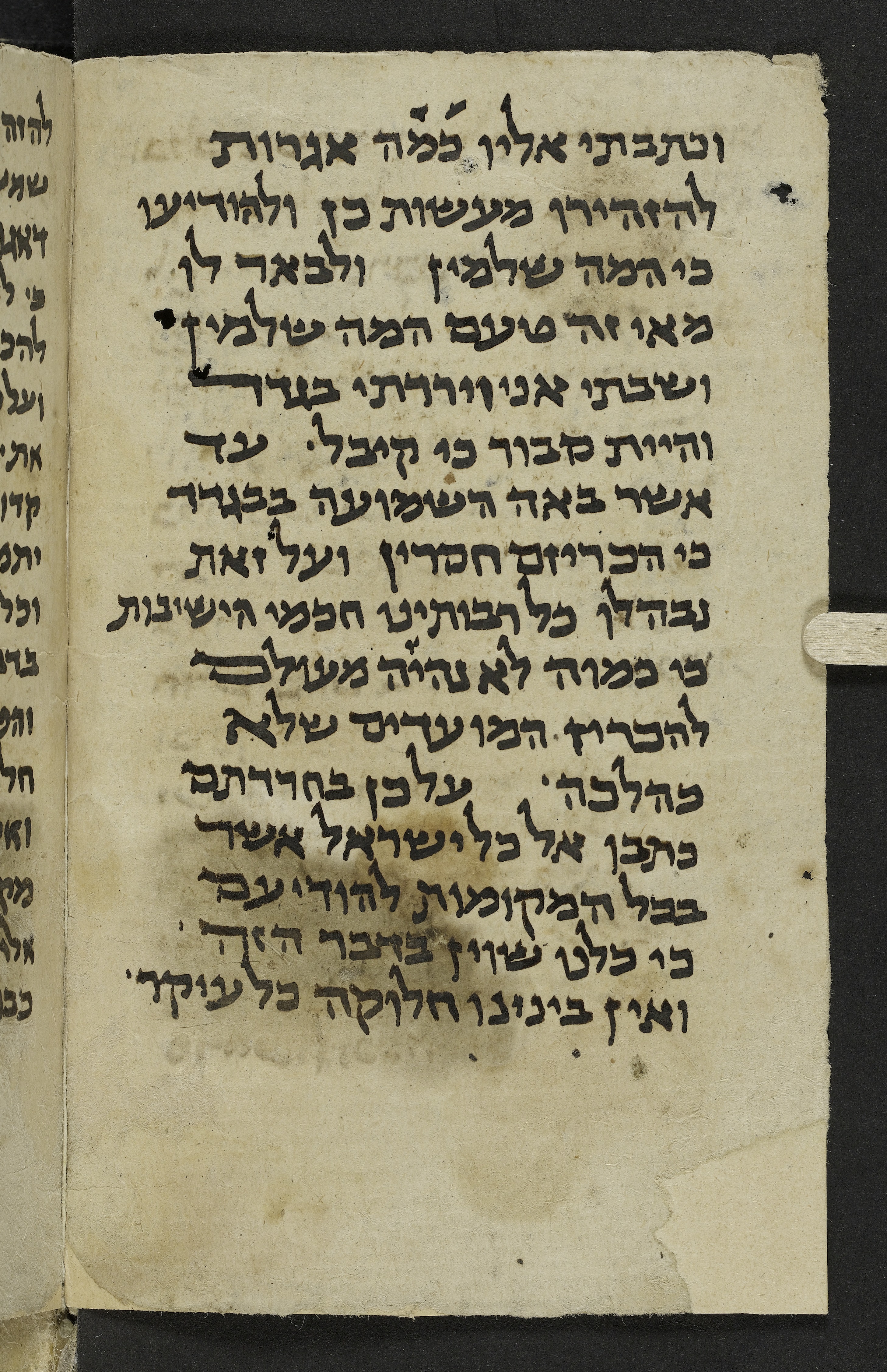 Image of item, e.g. a manuscript page