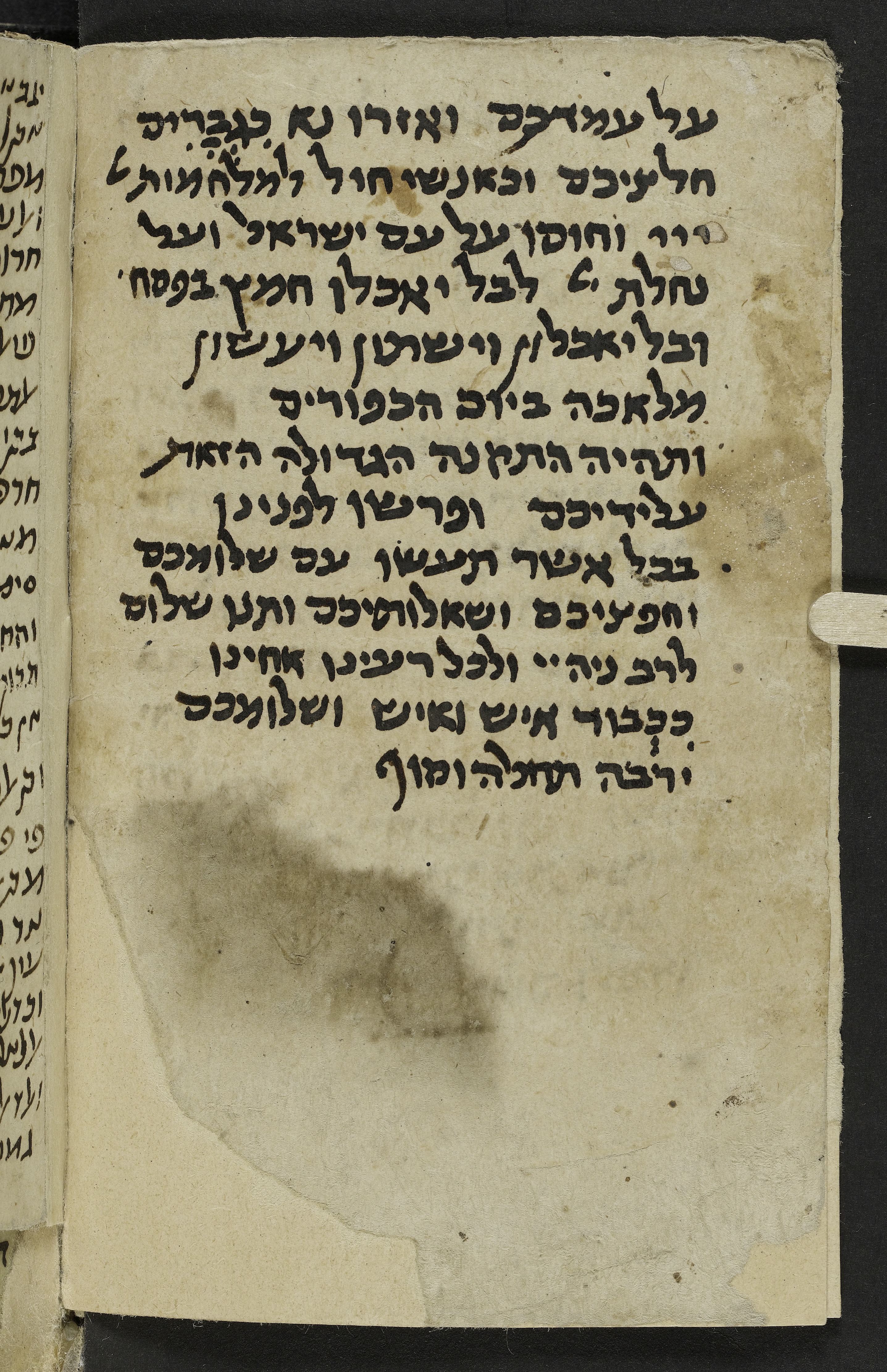 Image of item, e.g. a manuscript page