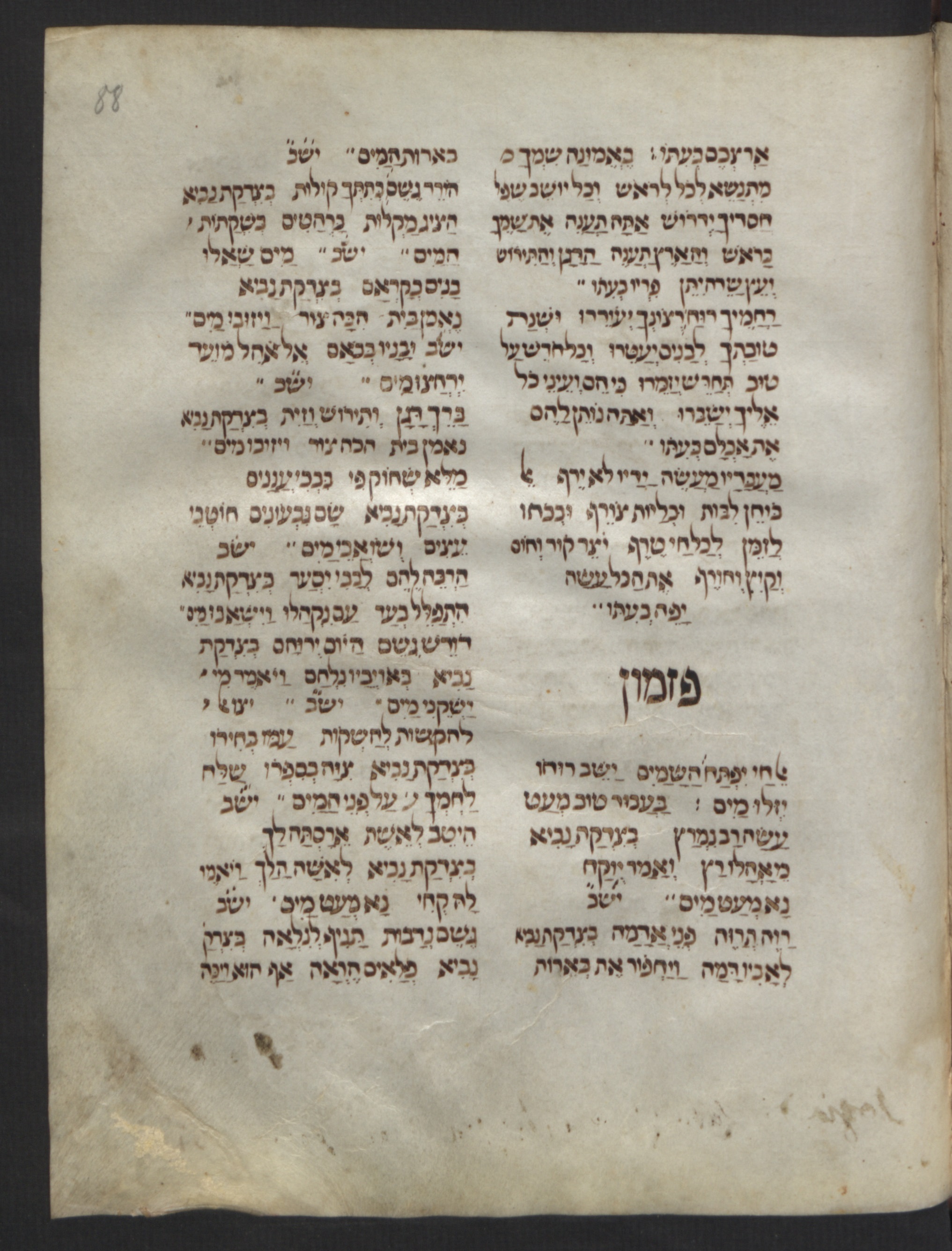 Image of item, e.g. a manuscript page