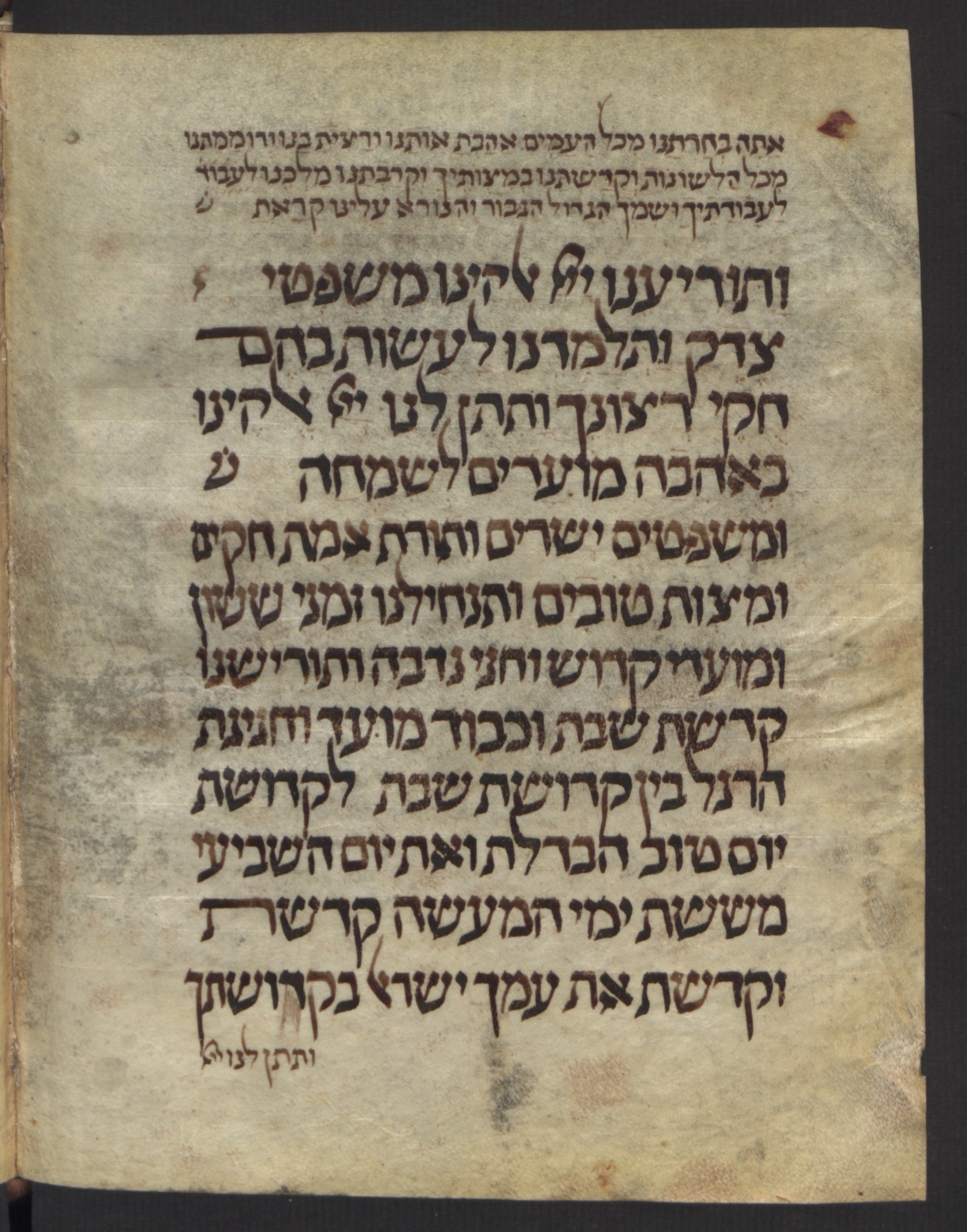 Image of item, e.g. a manuscript page