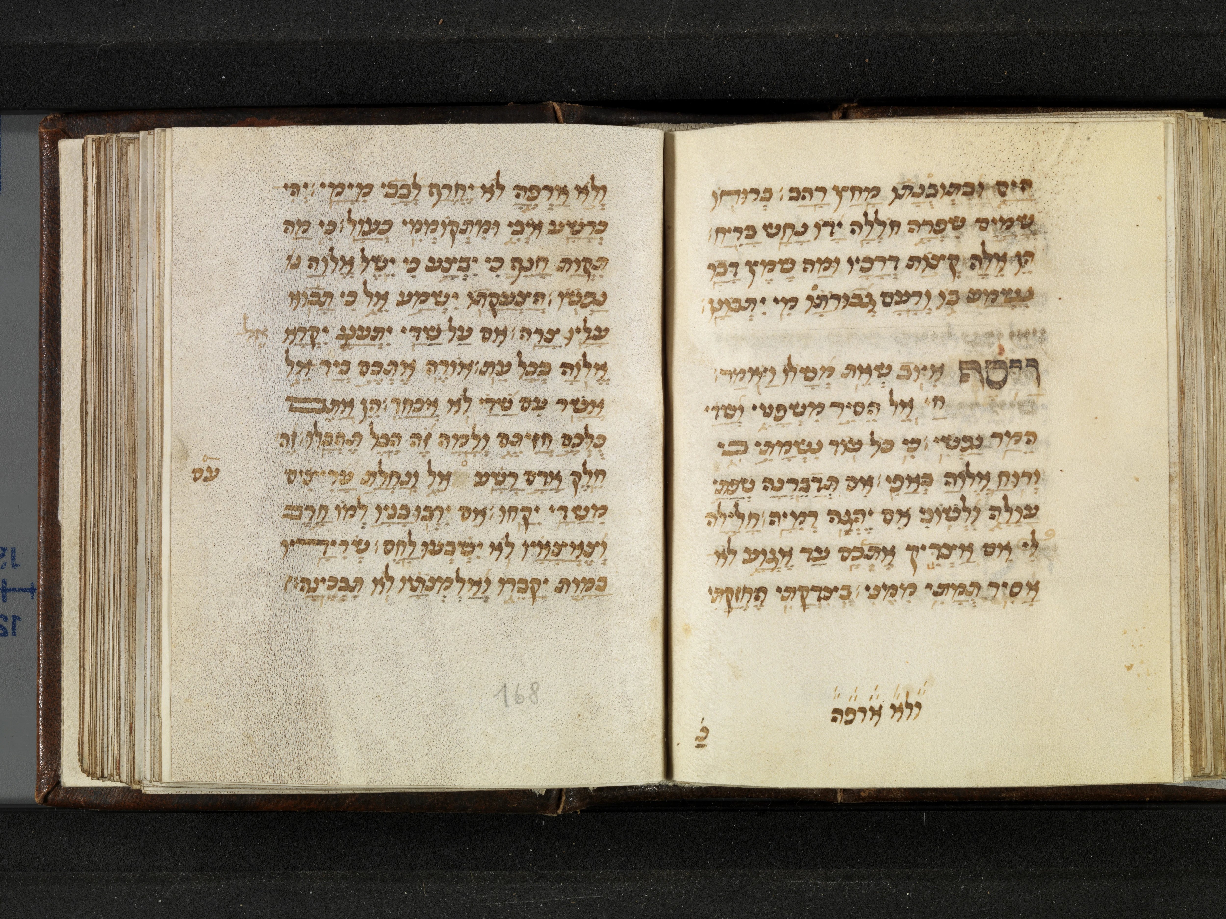 Image of item, e.g. a manuscript page