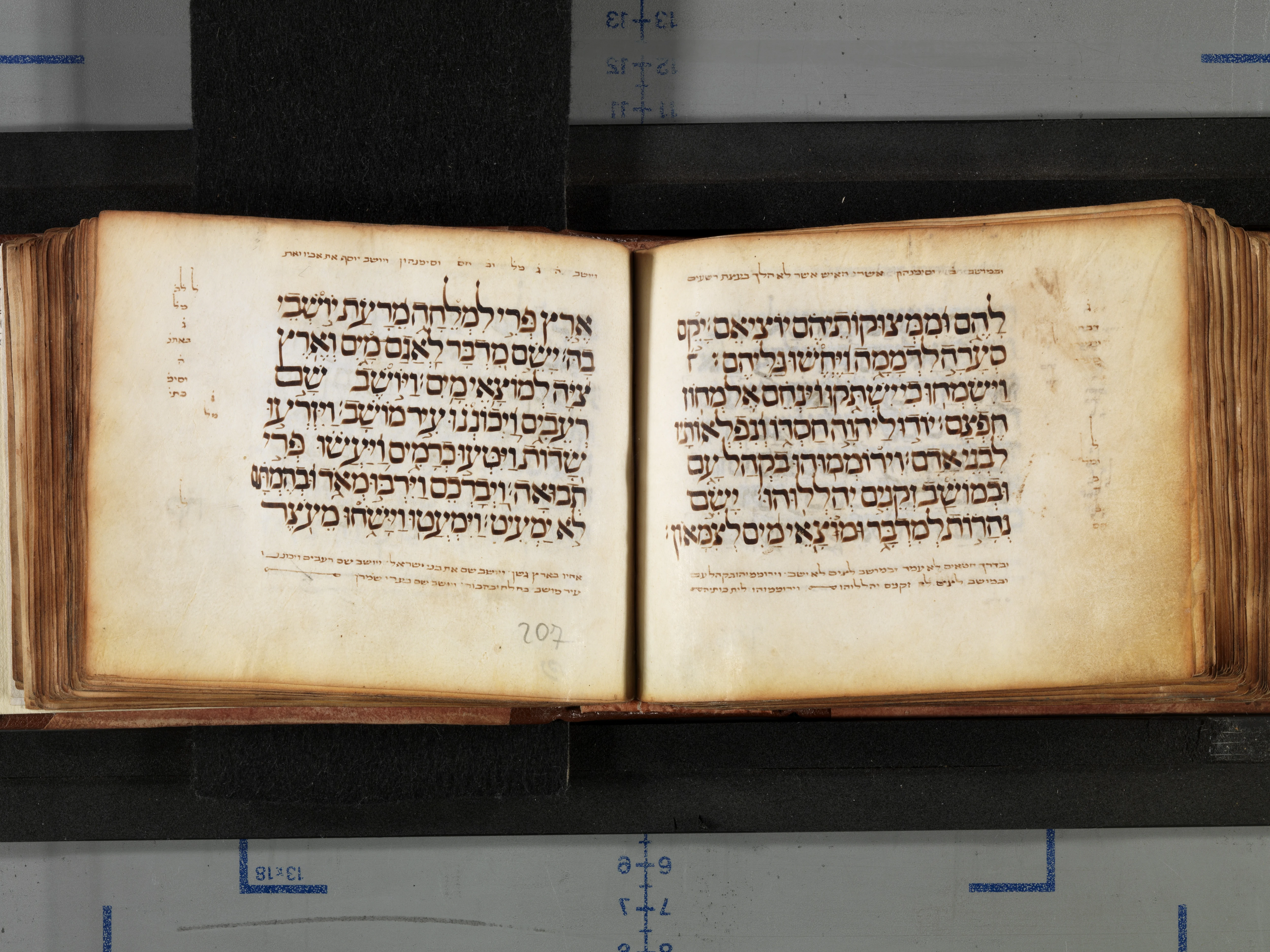 Image of item, e.g. a manuscript page