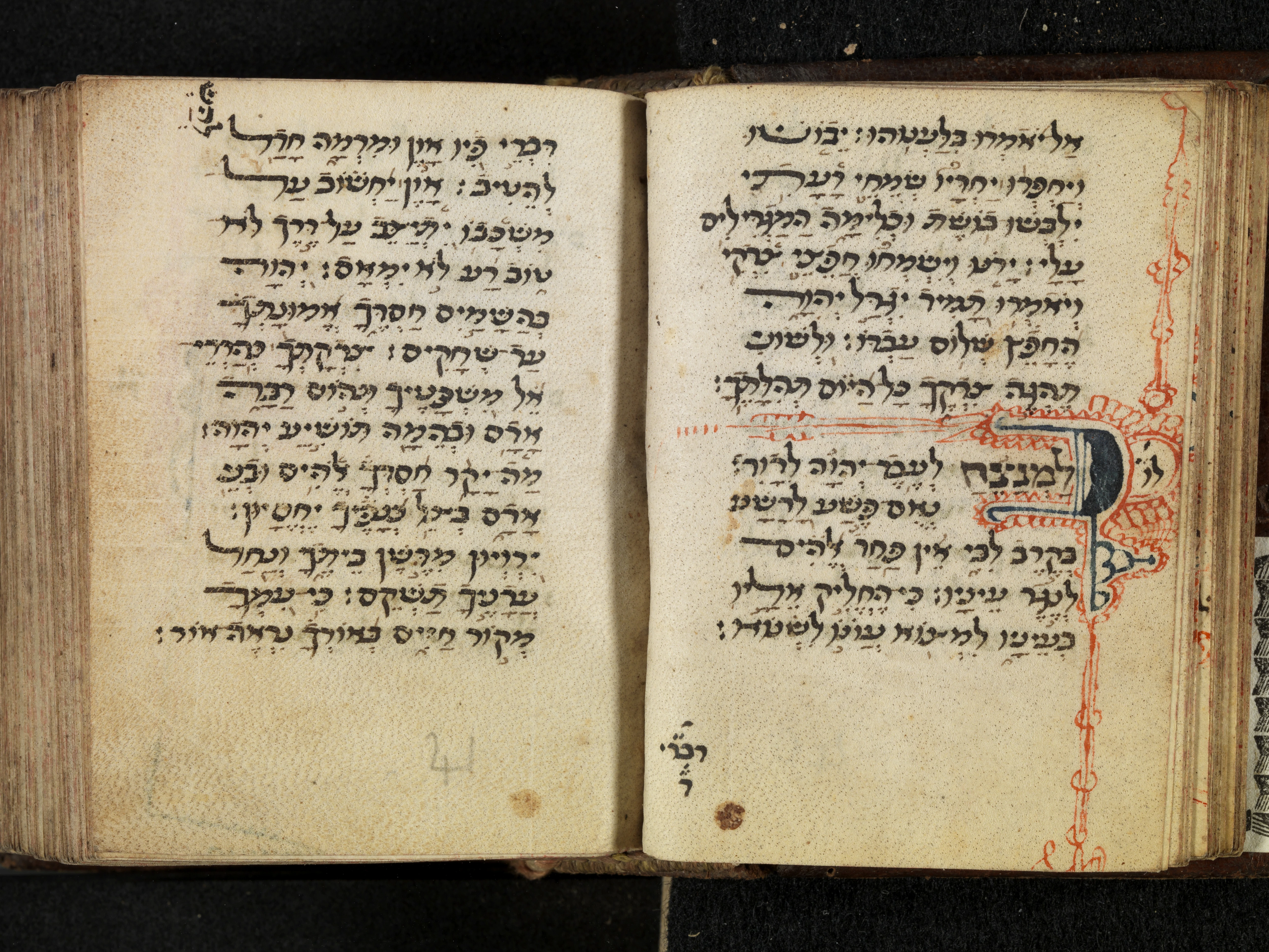 Image of item, e.g. a manuscript page