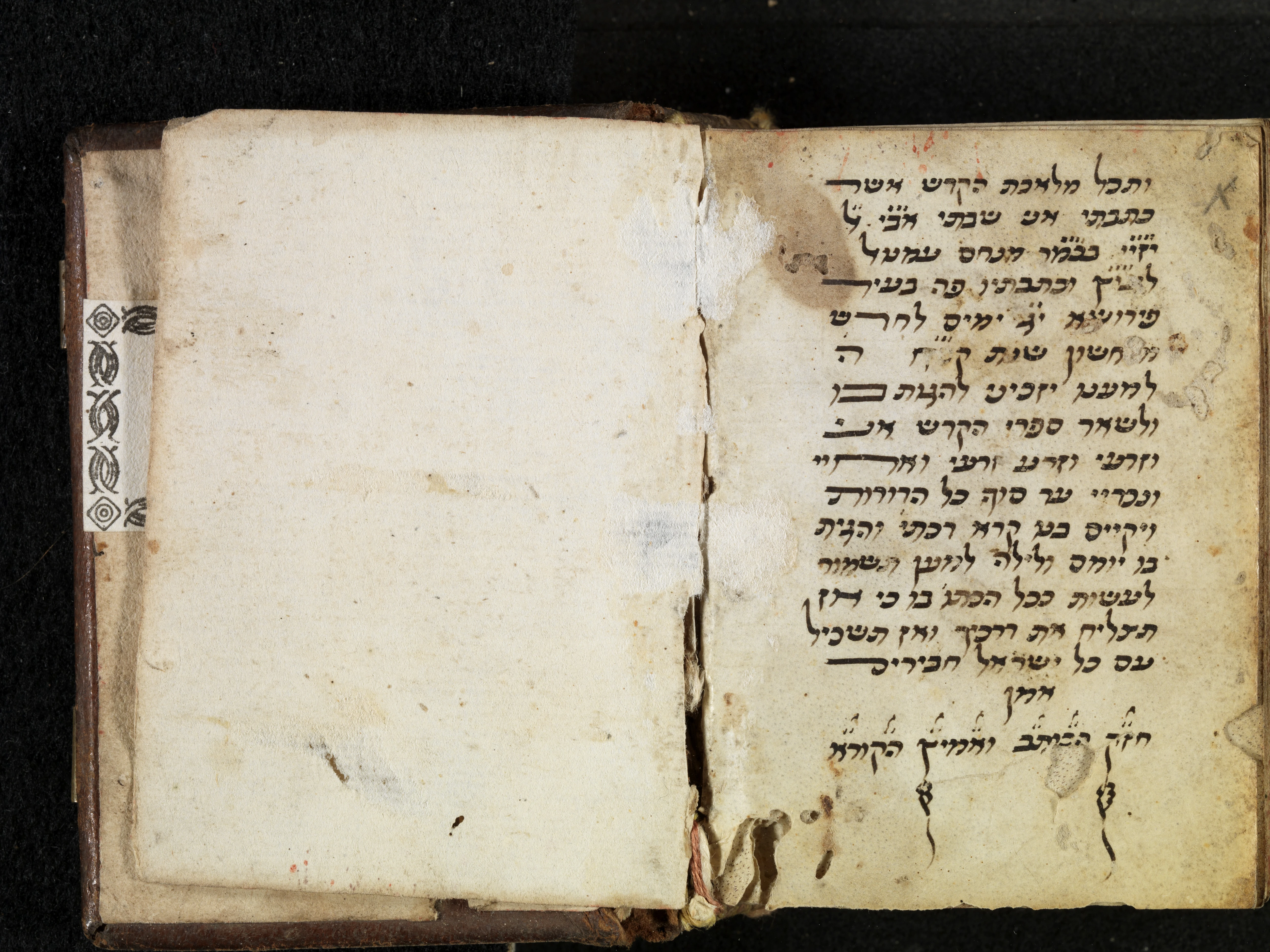 Image of item, e.g. a manuscript page