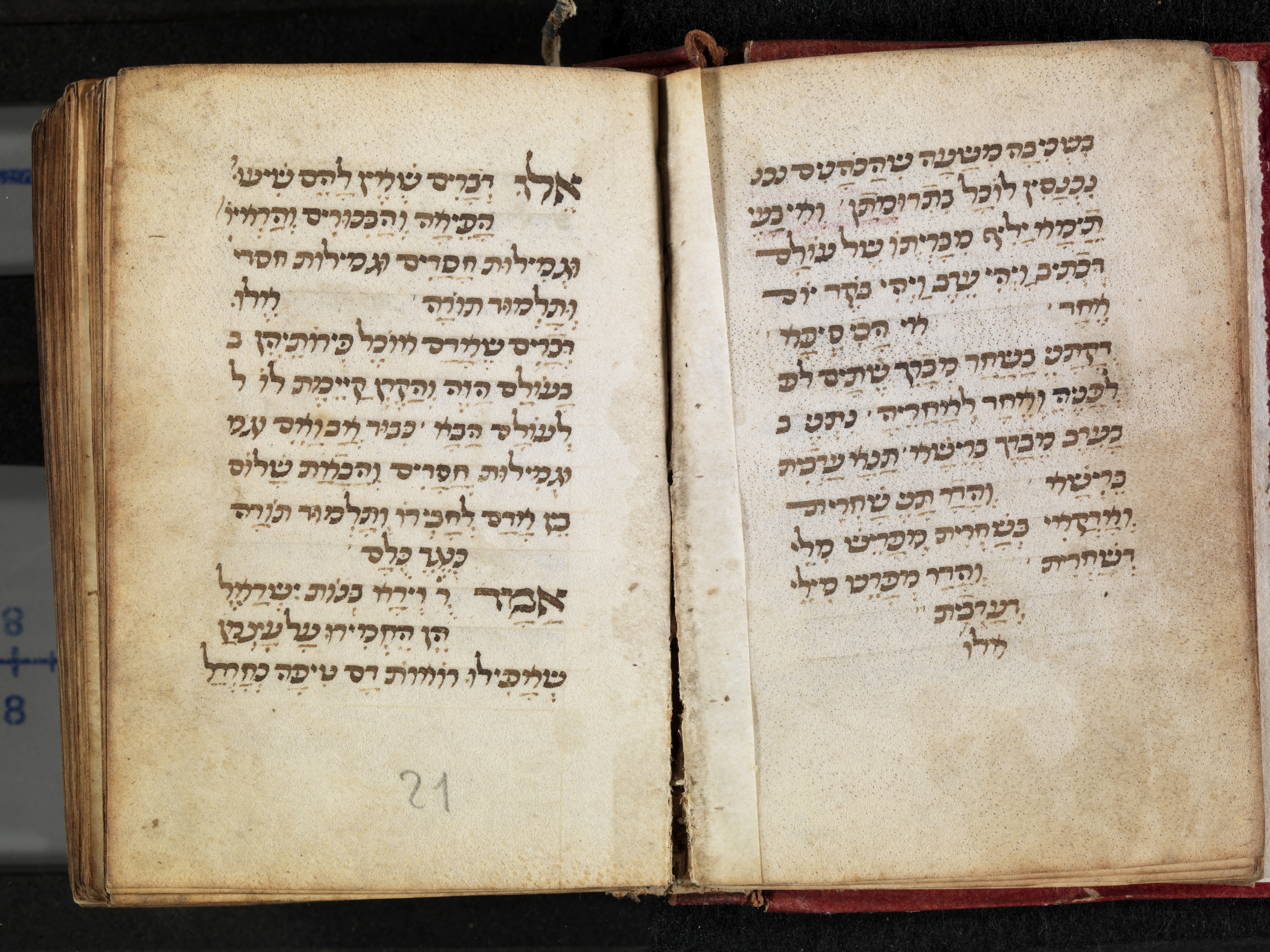 Image of item, e.g. a manuscript page