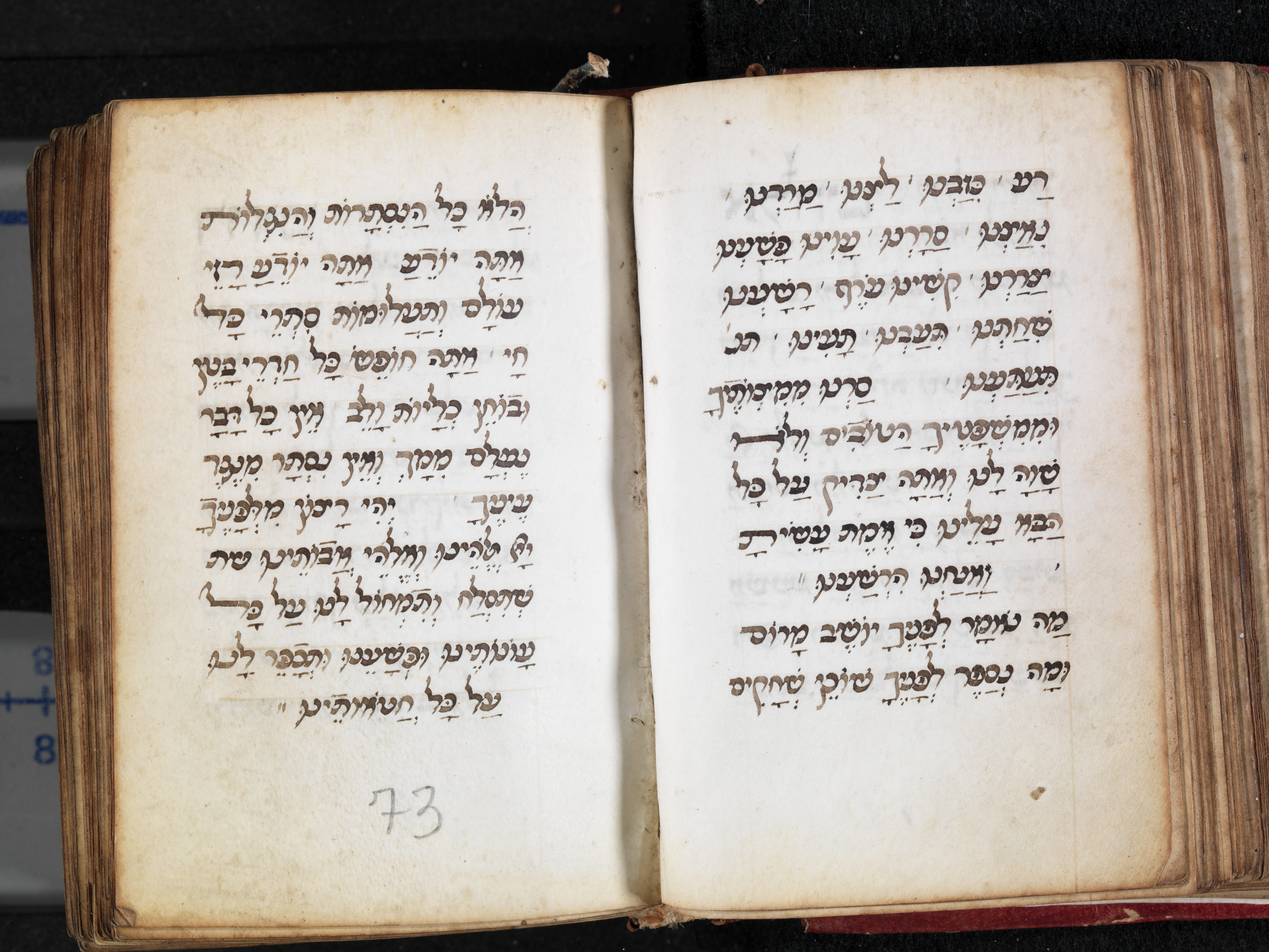 Image of item, e.g. a manuscript page