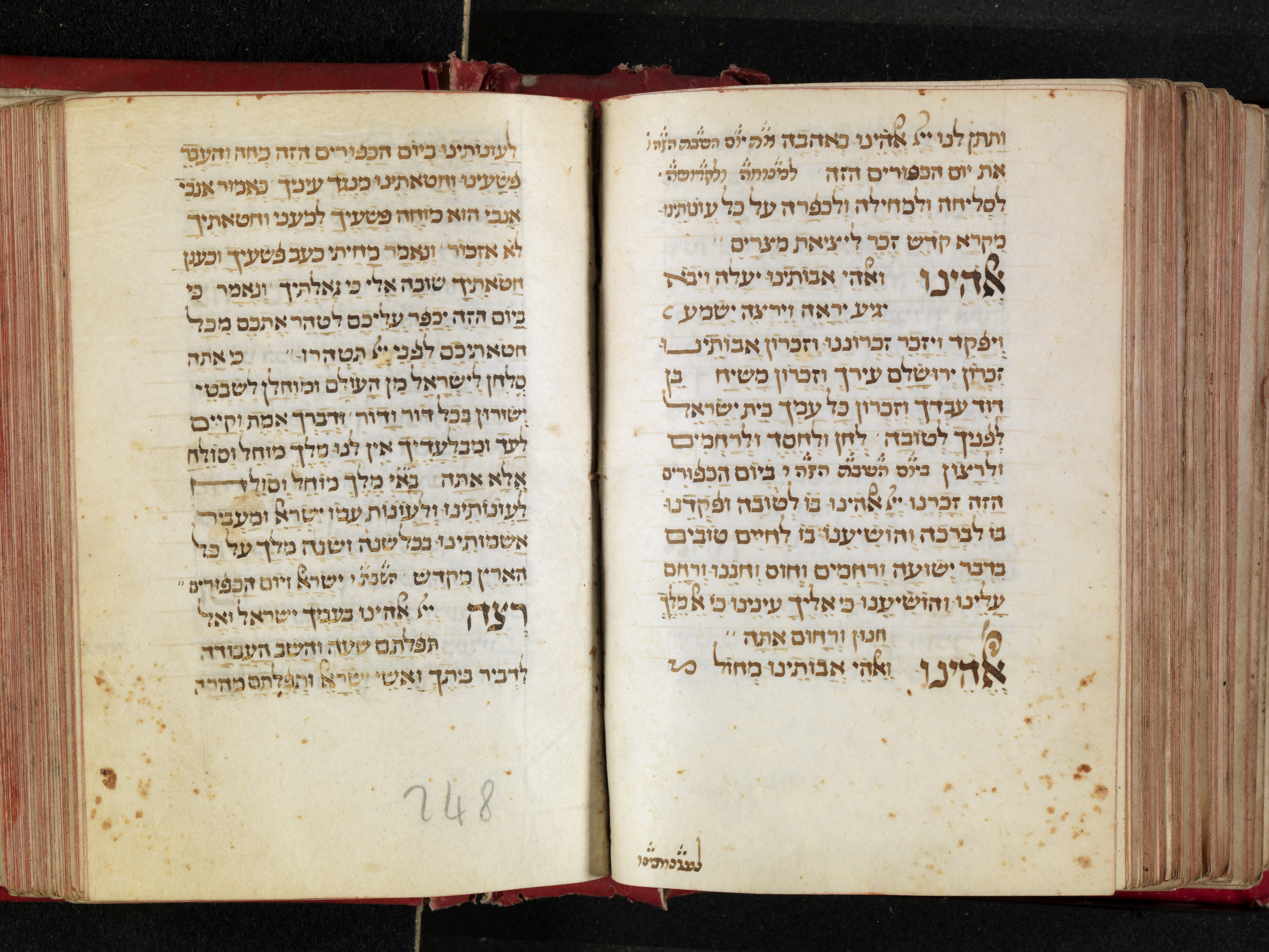 Image of item, e.g. a manuscript page