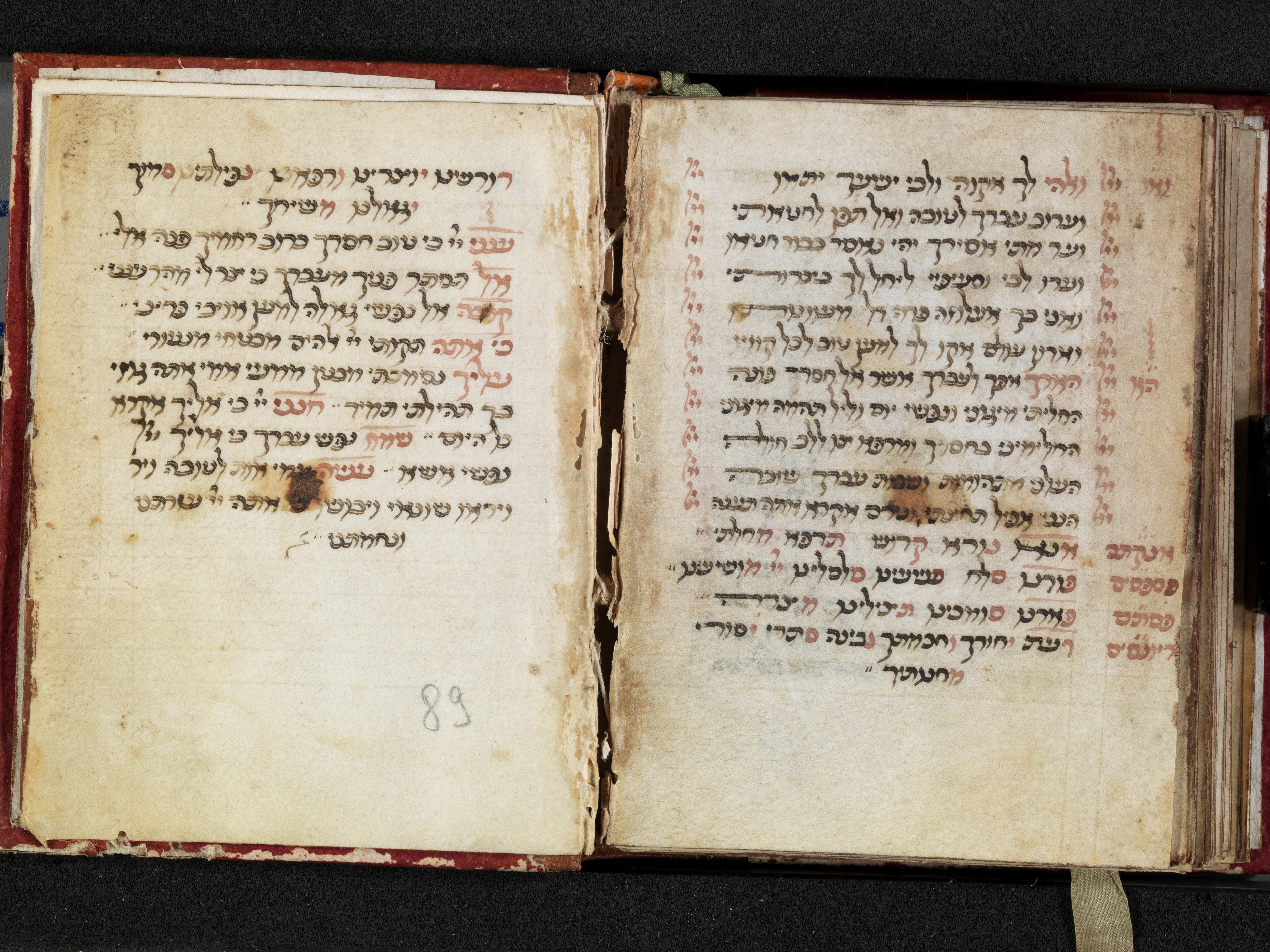 Image of item, e.g. a manuscript page