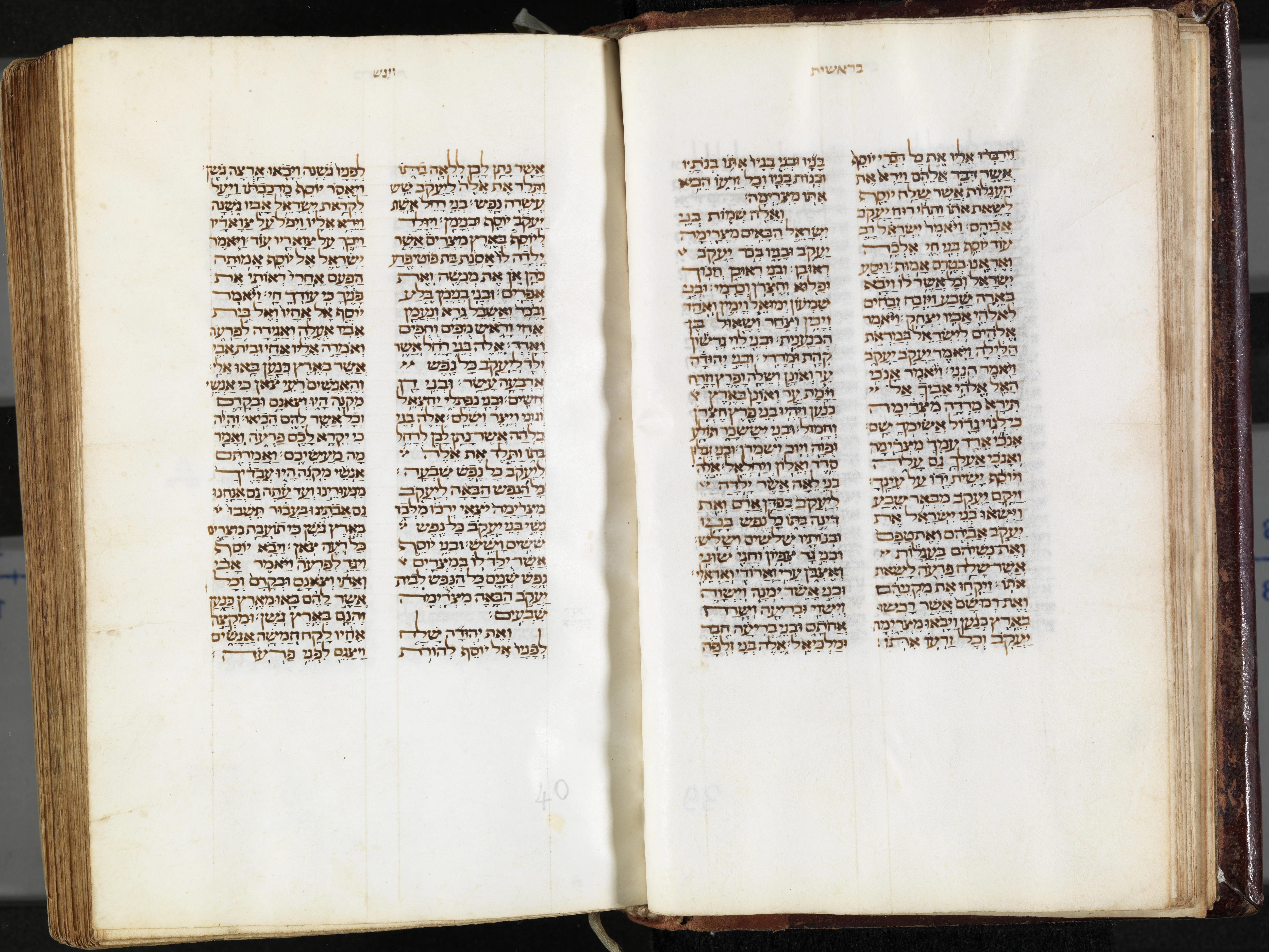 Image of item, e.g. a manuscript page