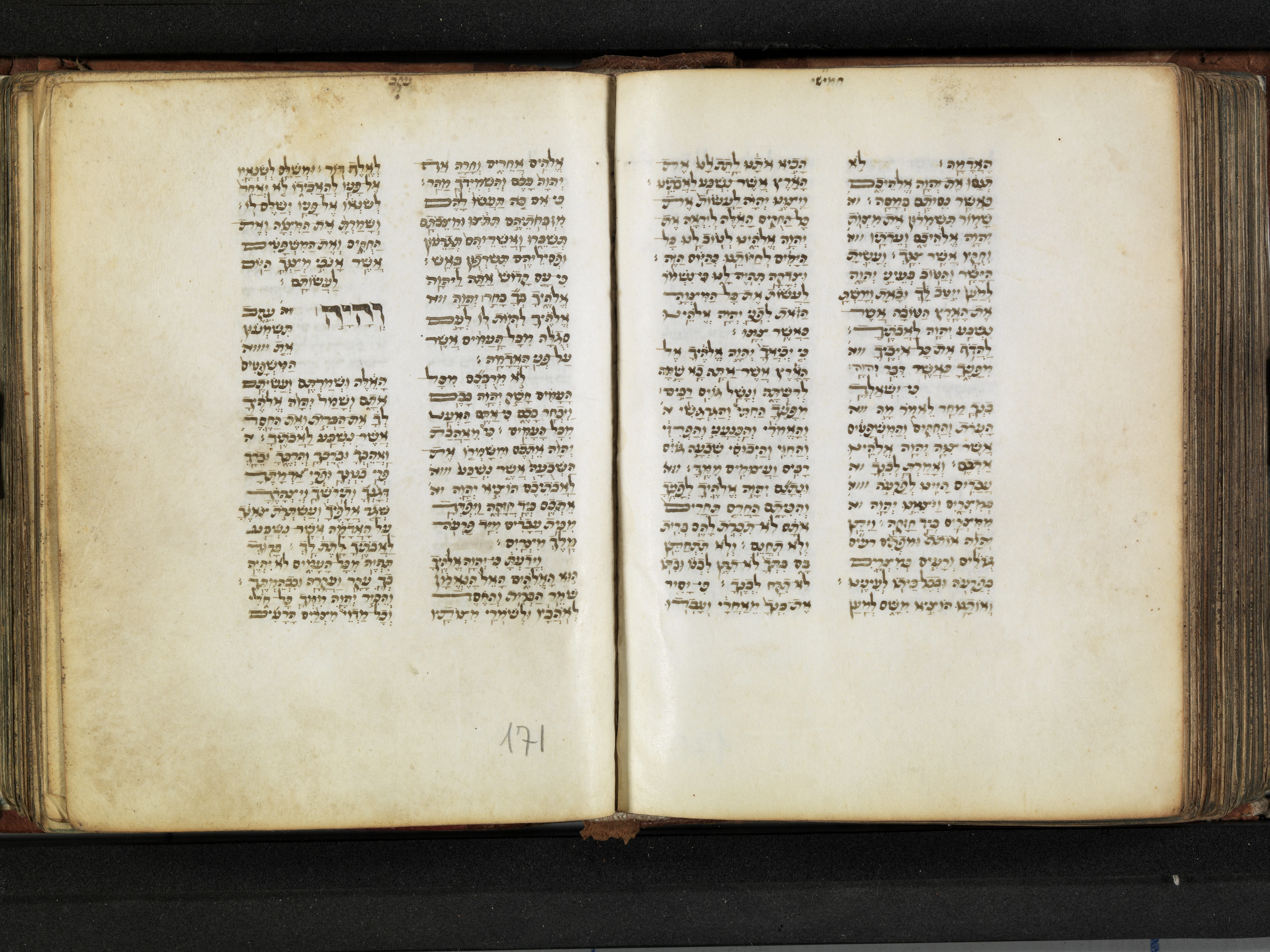 Image of item, e.g. a manuscript page