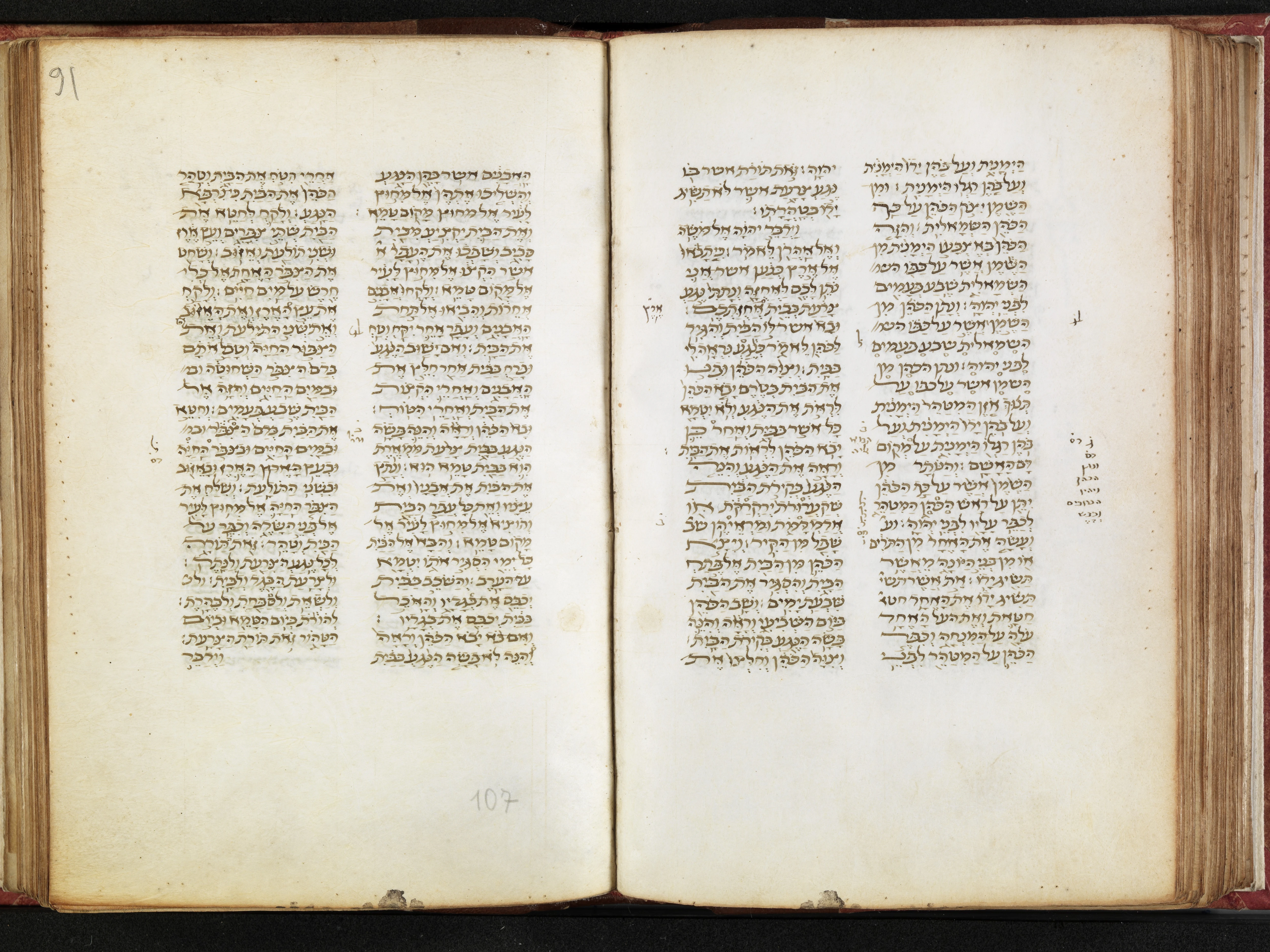 Image of item, e.g. a manuscript page