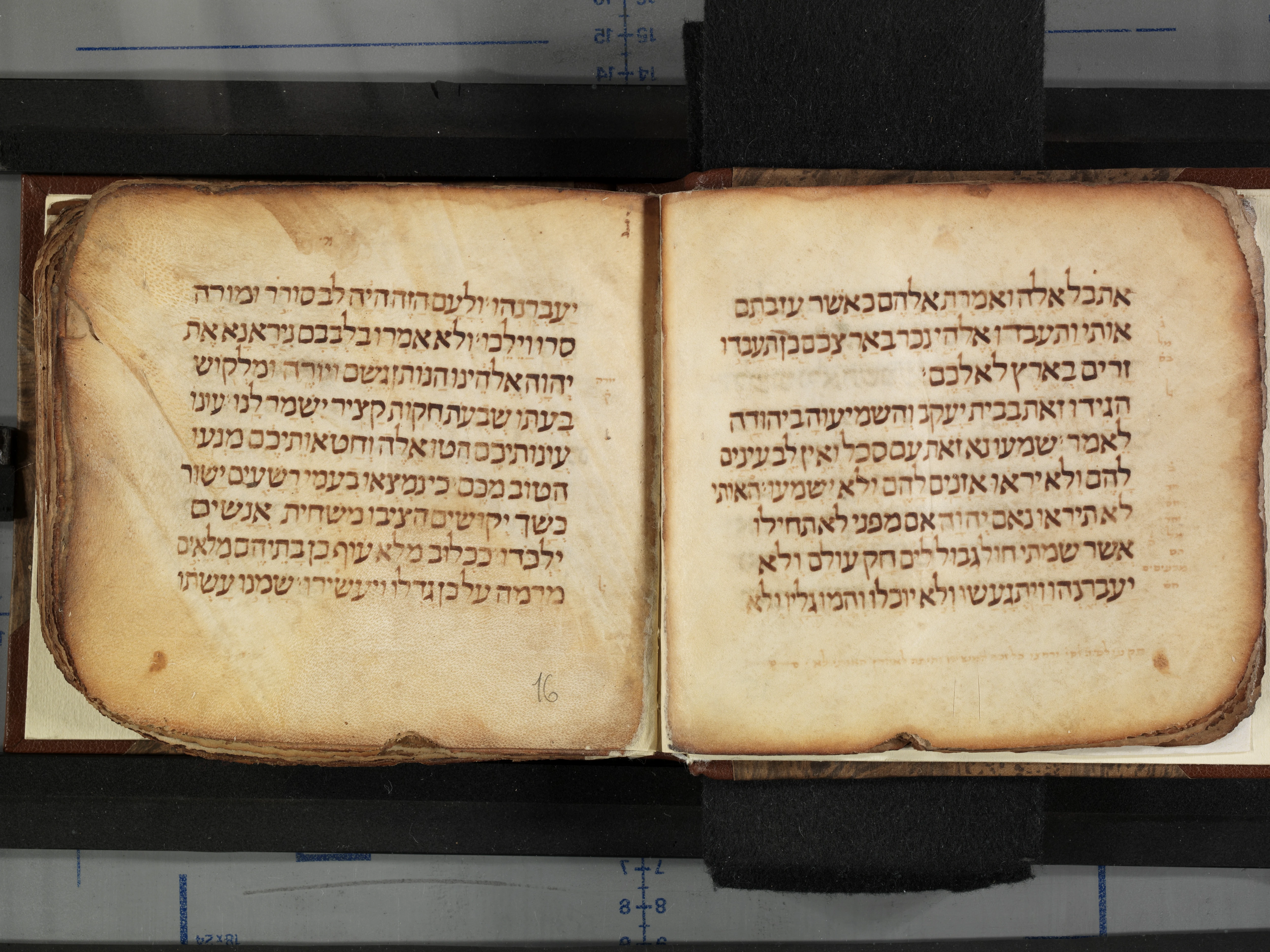 Image of item, e.g. a manuscript page