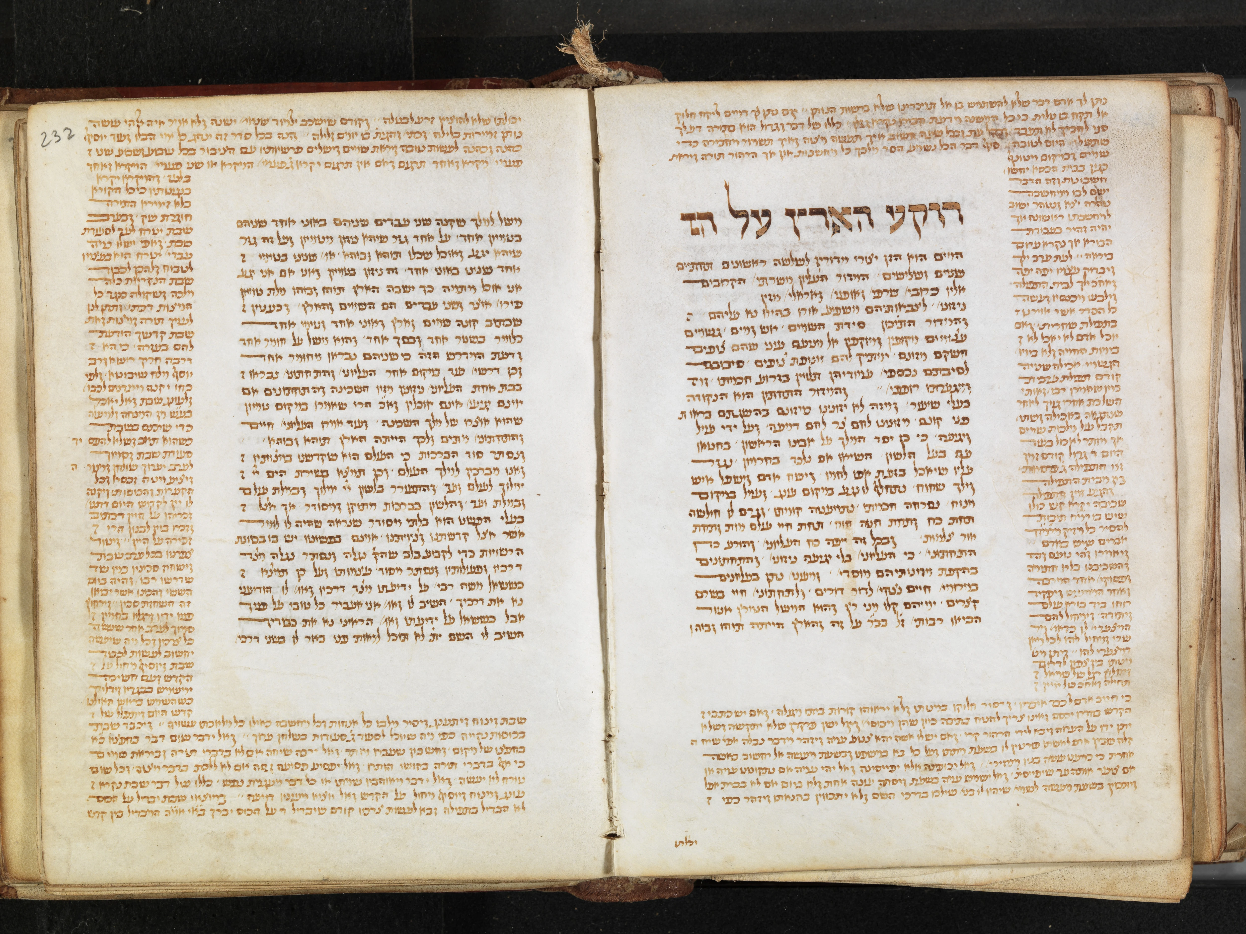 Image of item, e.g. a manuscript page