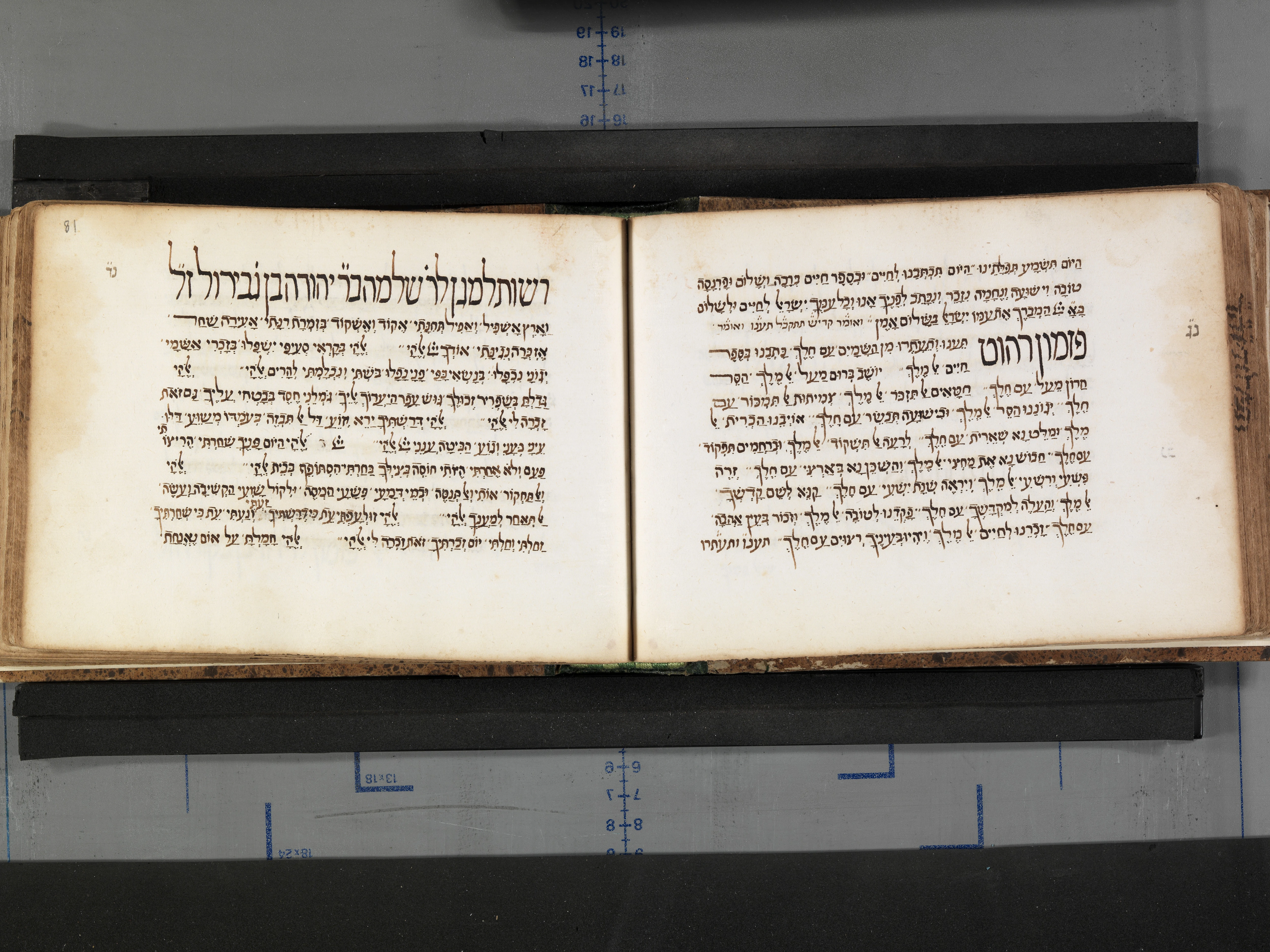 Image of item, e.g. a manuscript page