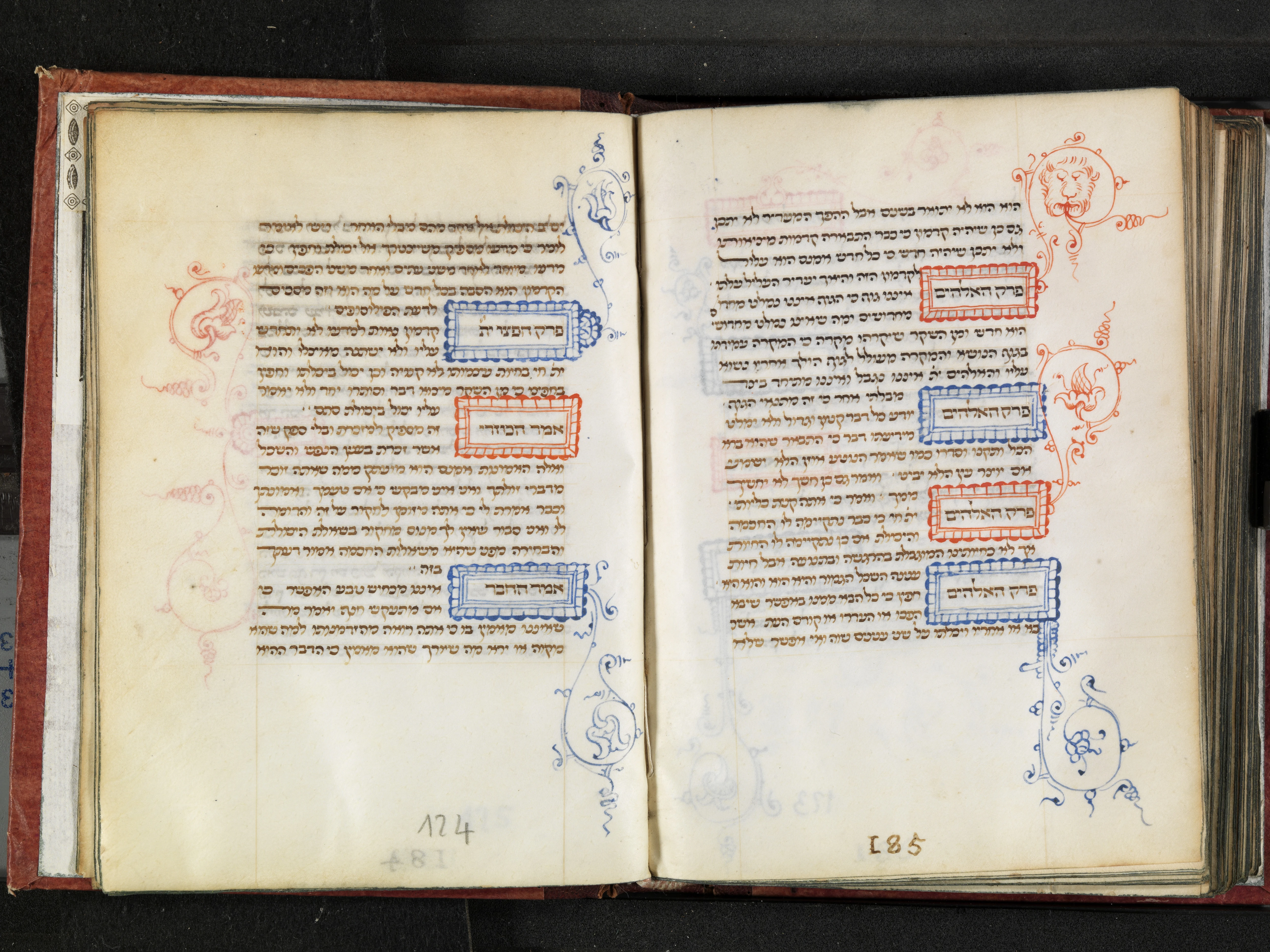 Image of item, e.g. a manuscript page