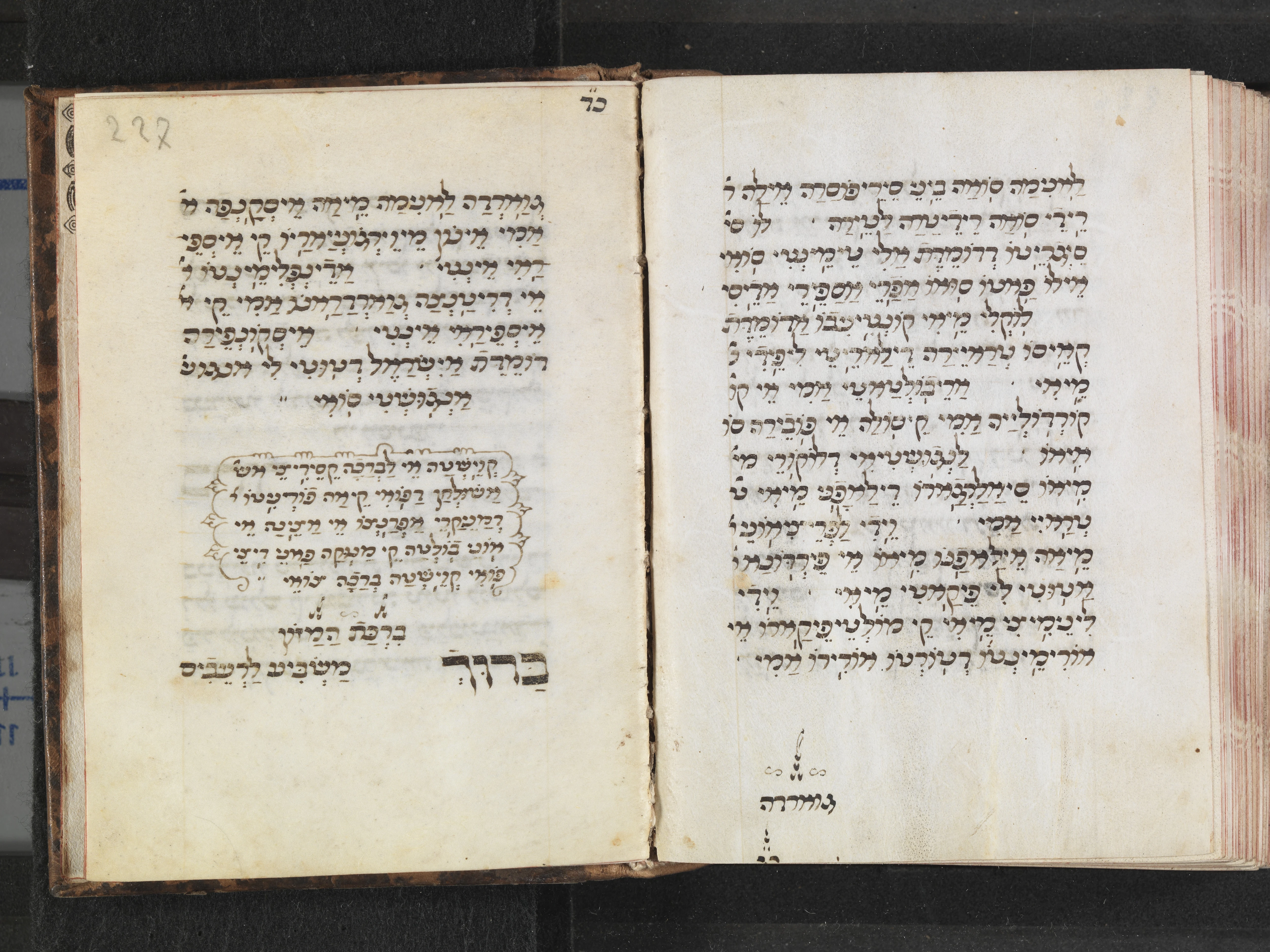 Image of item, e.g. a manuscript page