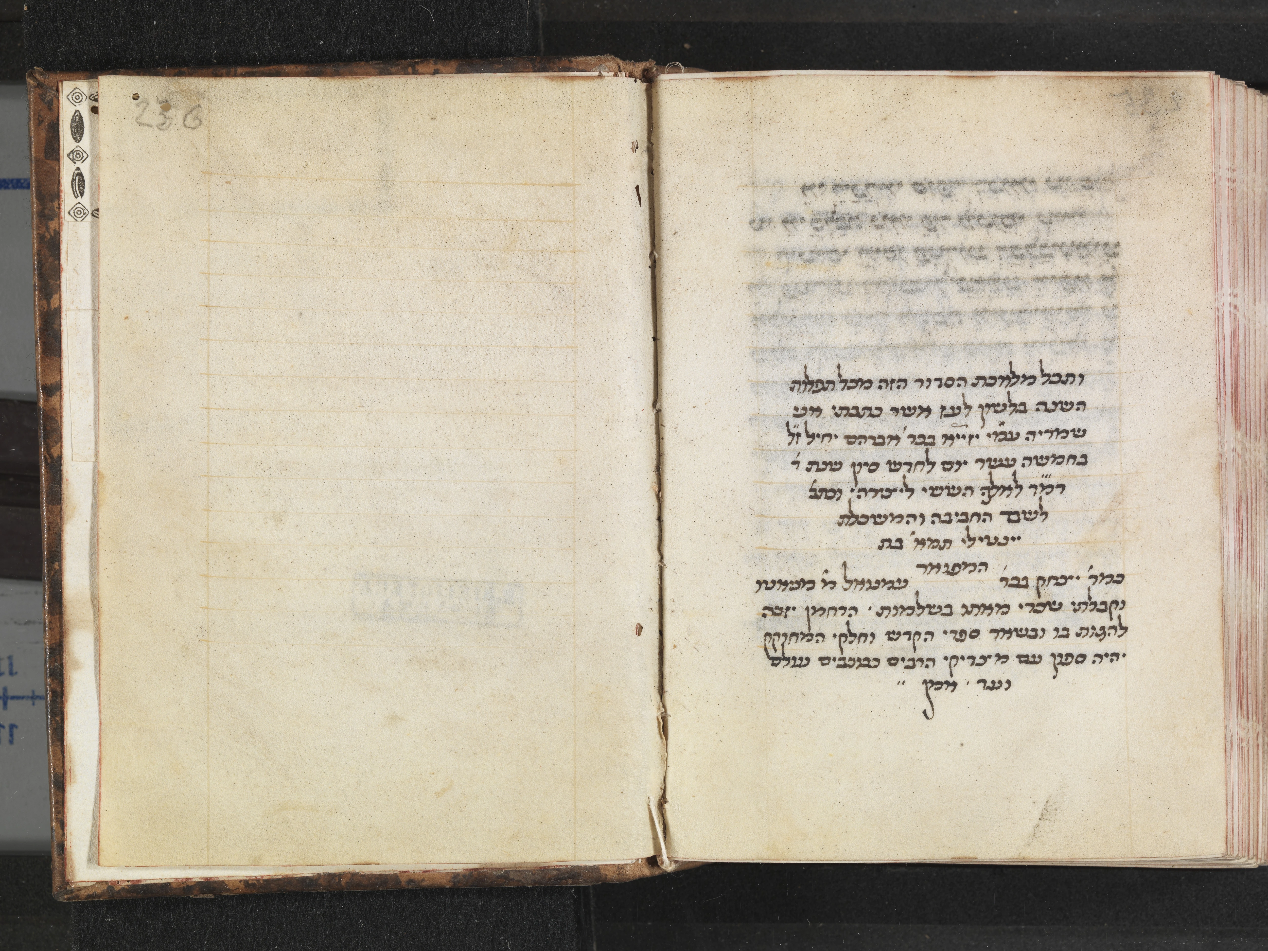 Image of item, e.g. a manuscript page