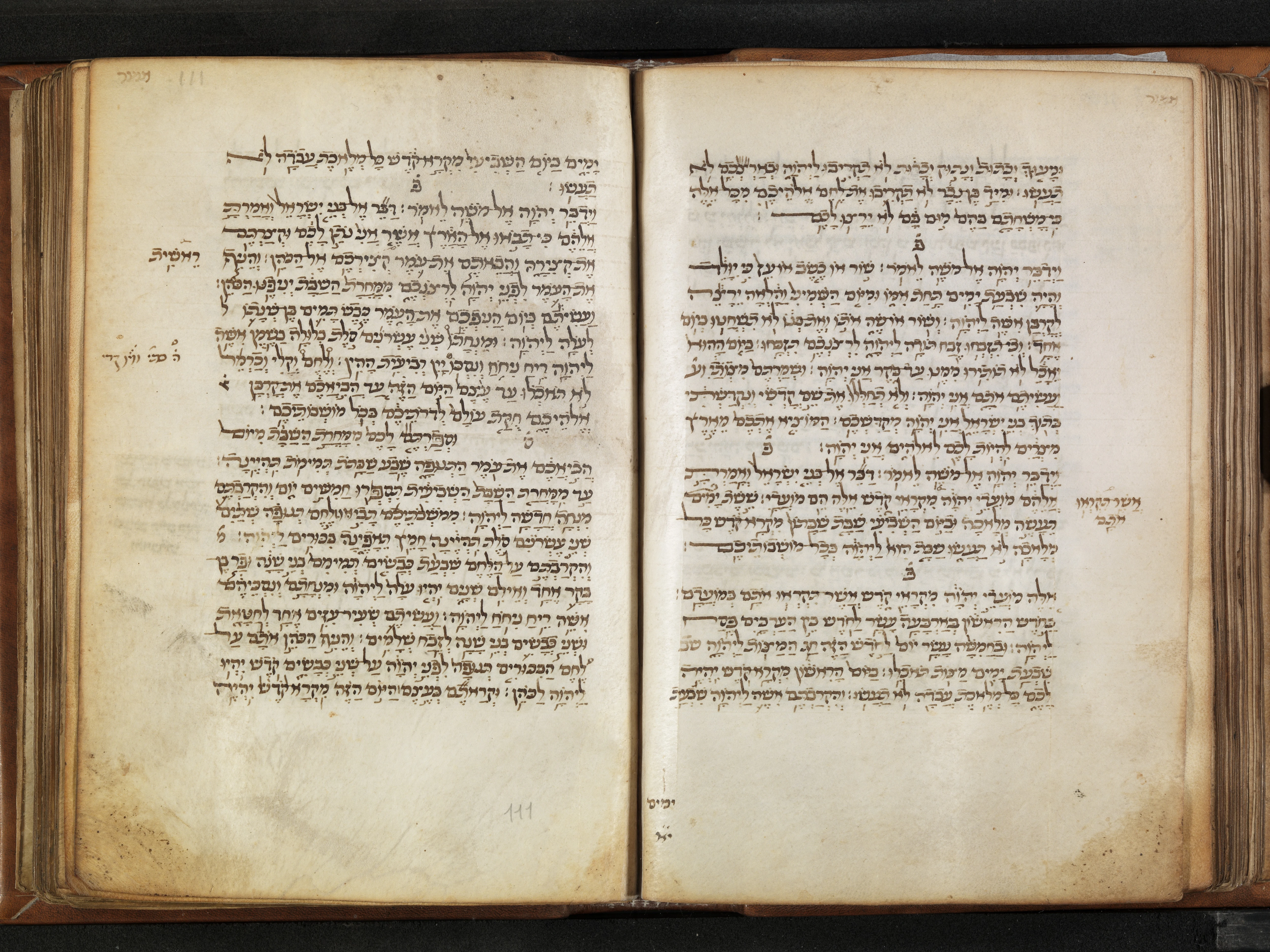 Image of item, e.g. a manuscript page