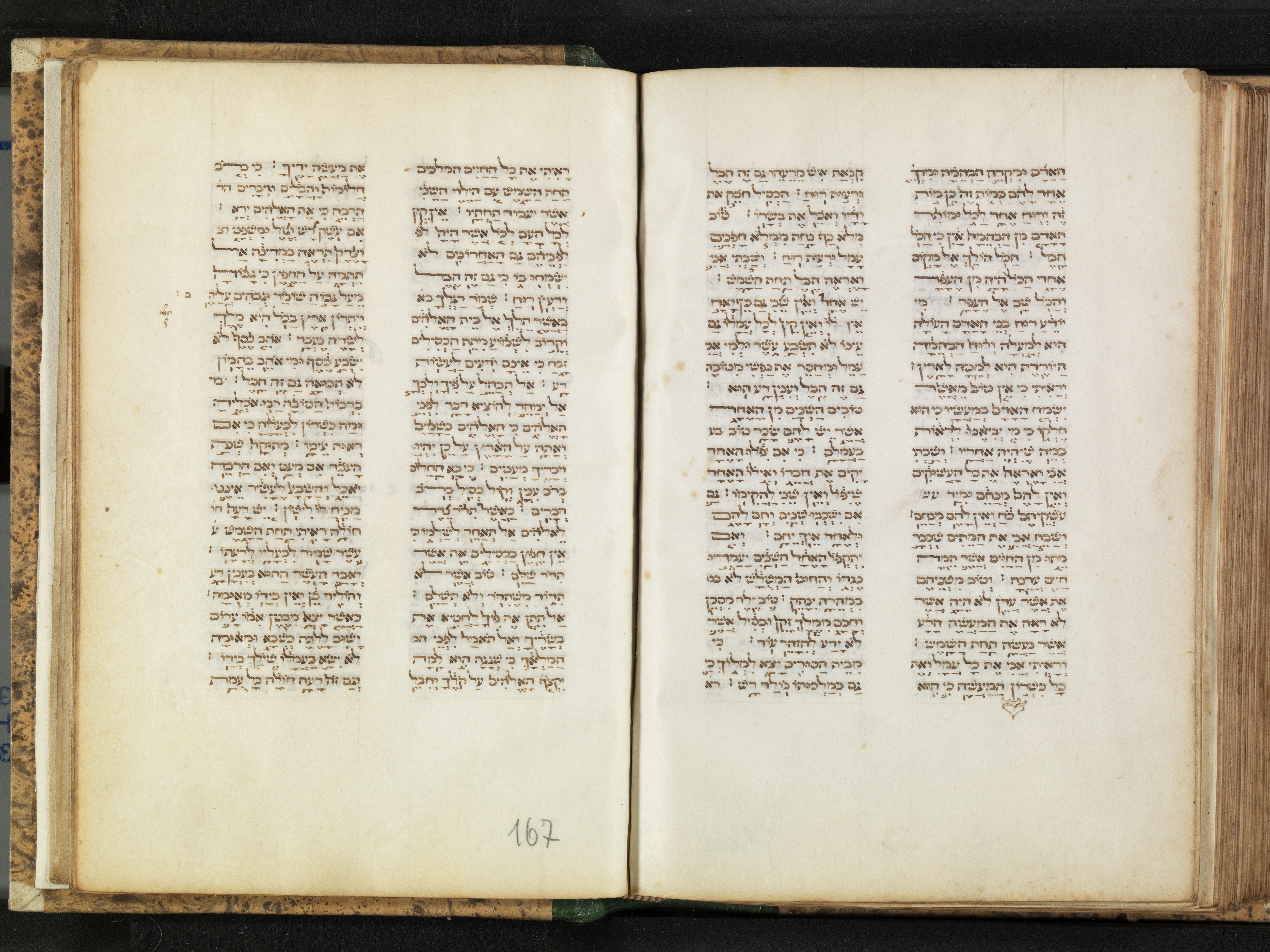 Image of item, e.g. a manuscript page