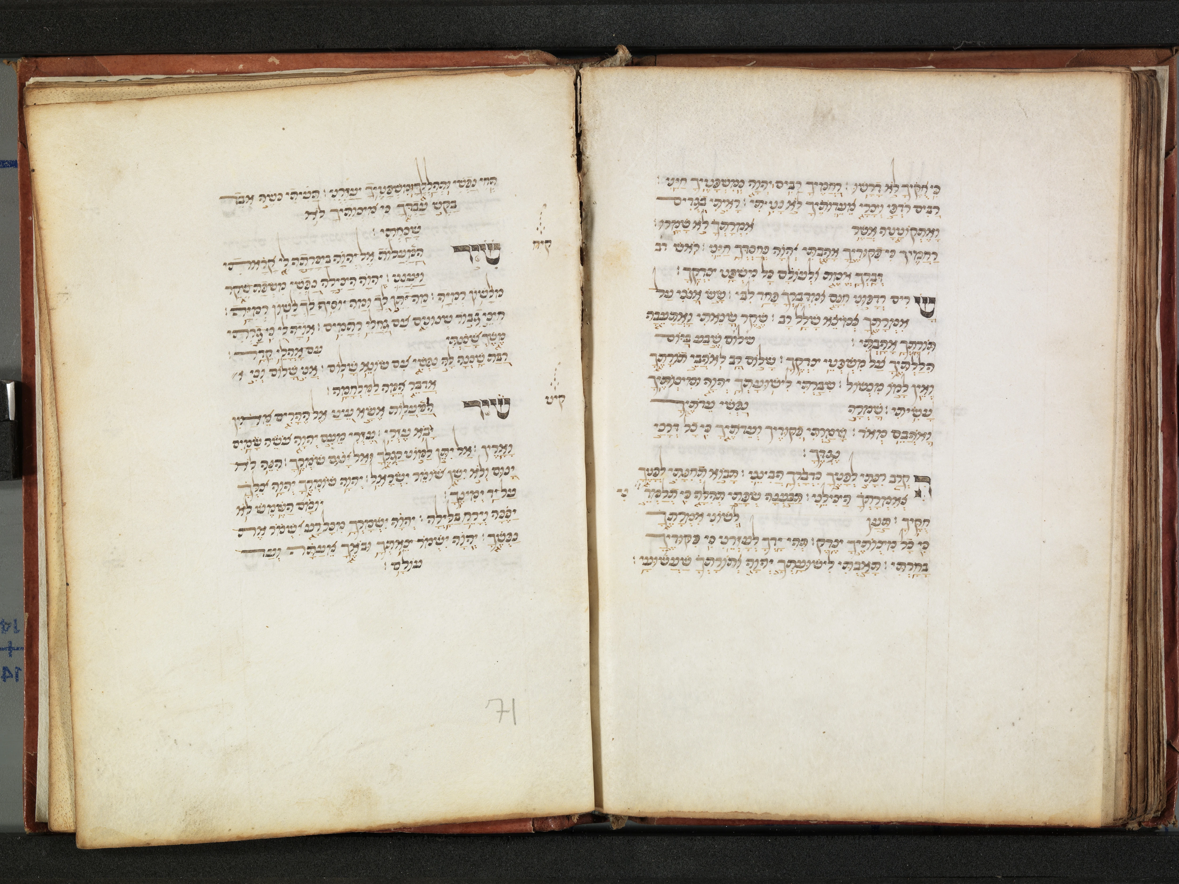 Image of item, e.g. a manuscript page