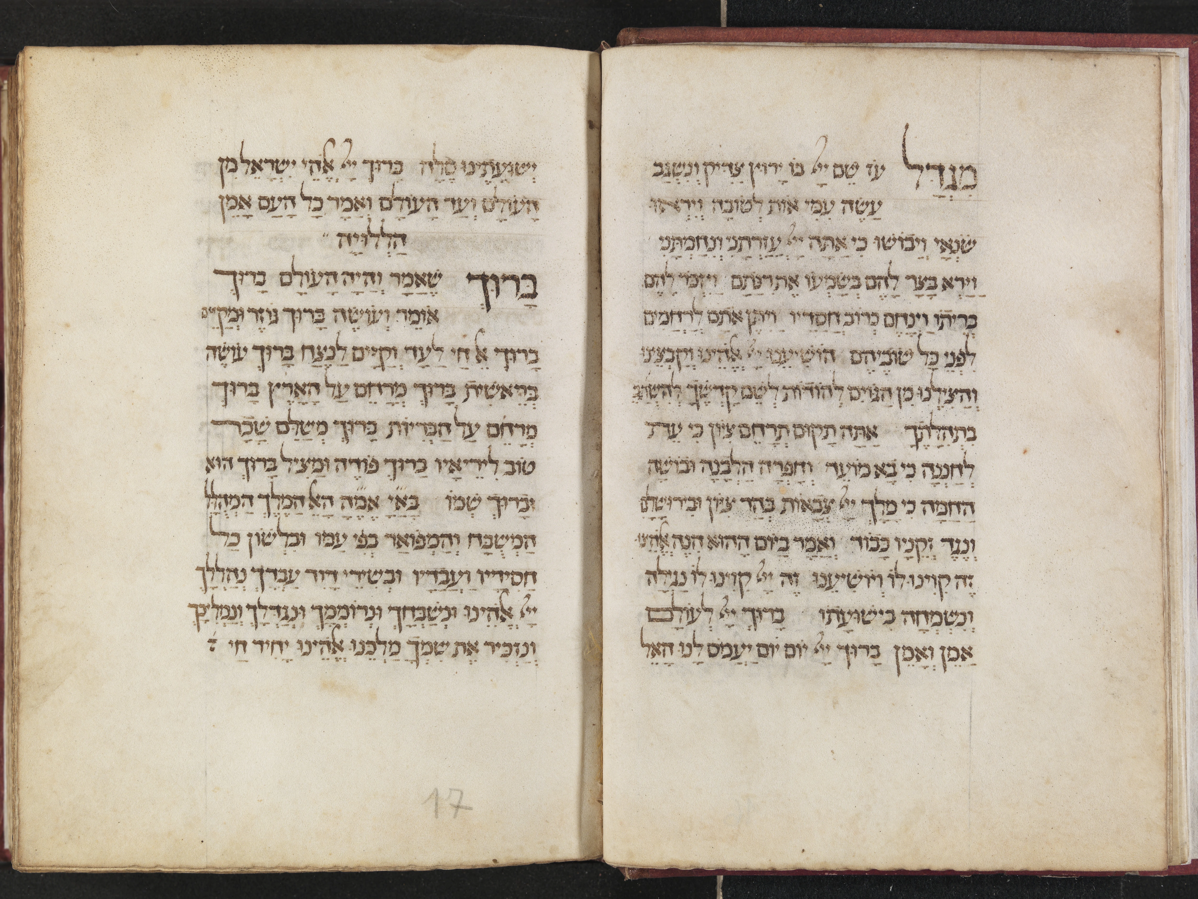 Image of item, e.g. a manuscript page