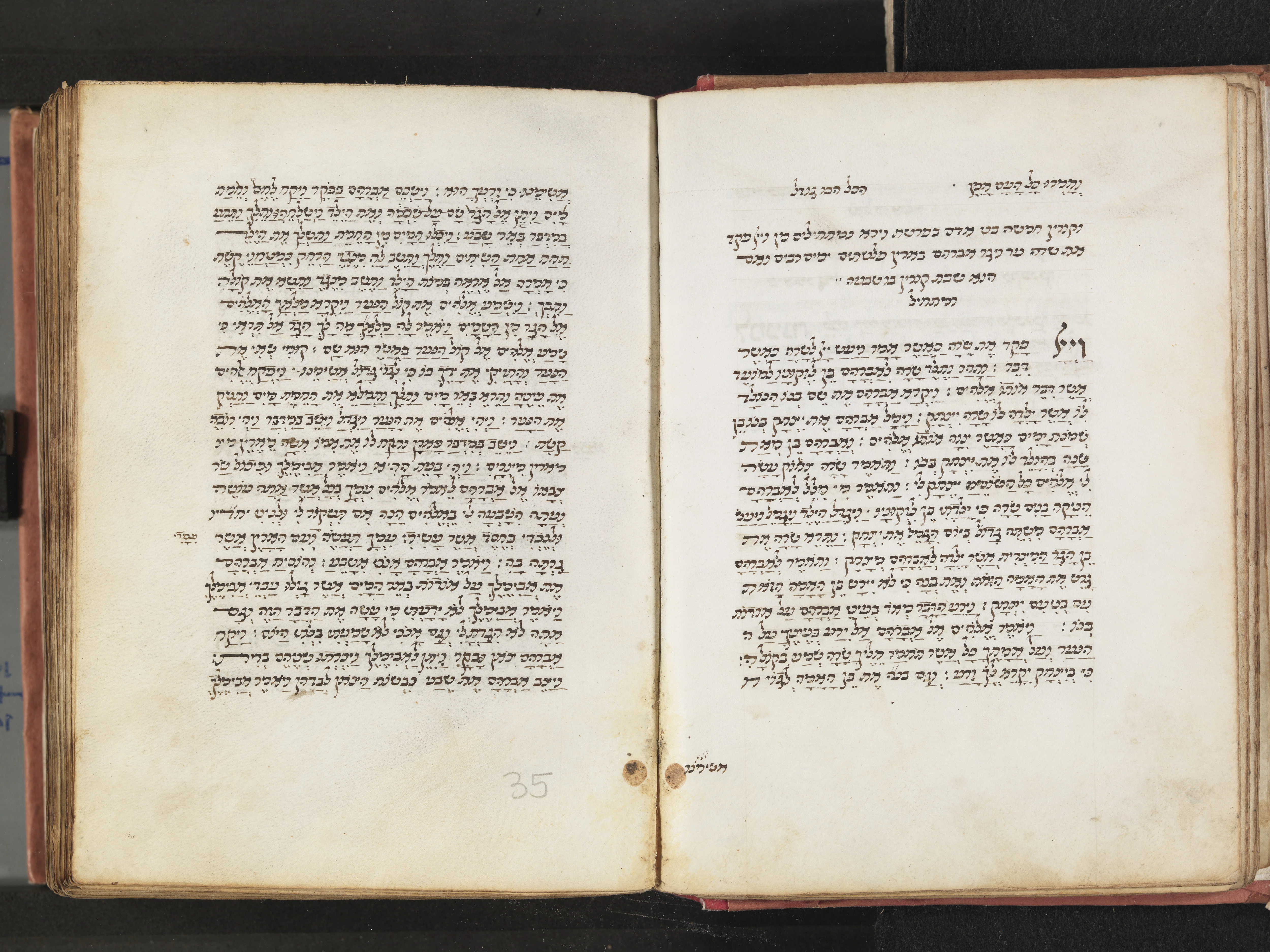 Image of item, e.g. a manuscript page