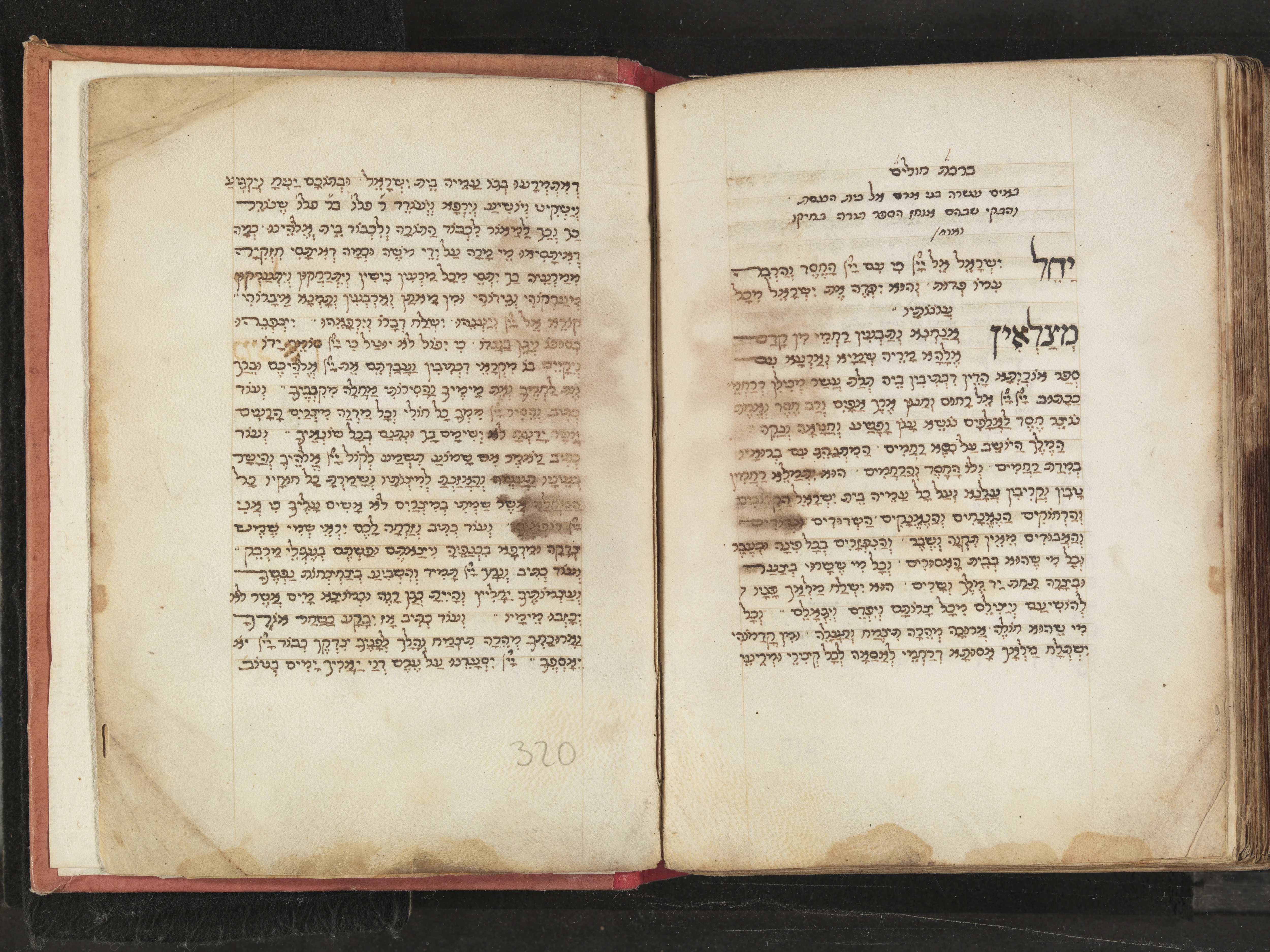 Image of item, e.g. a manuscript page