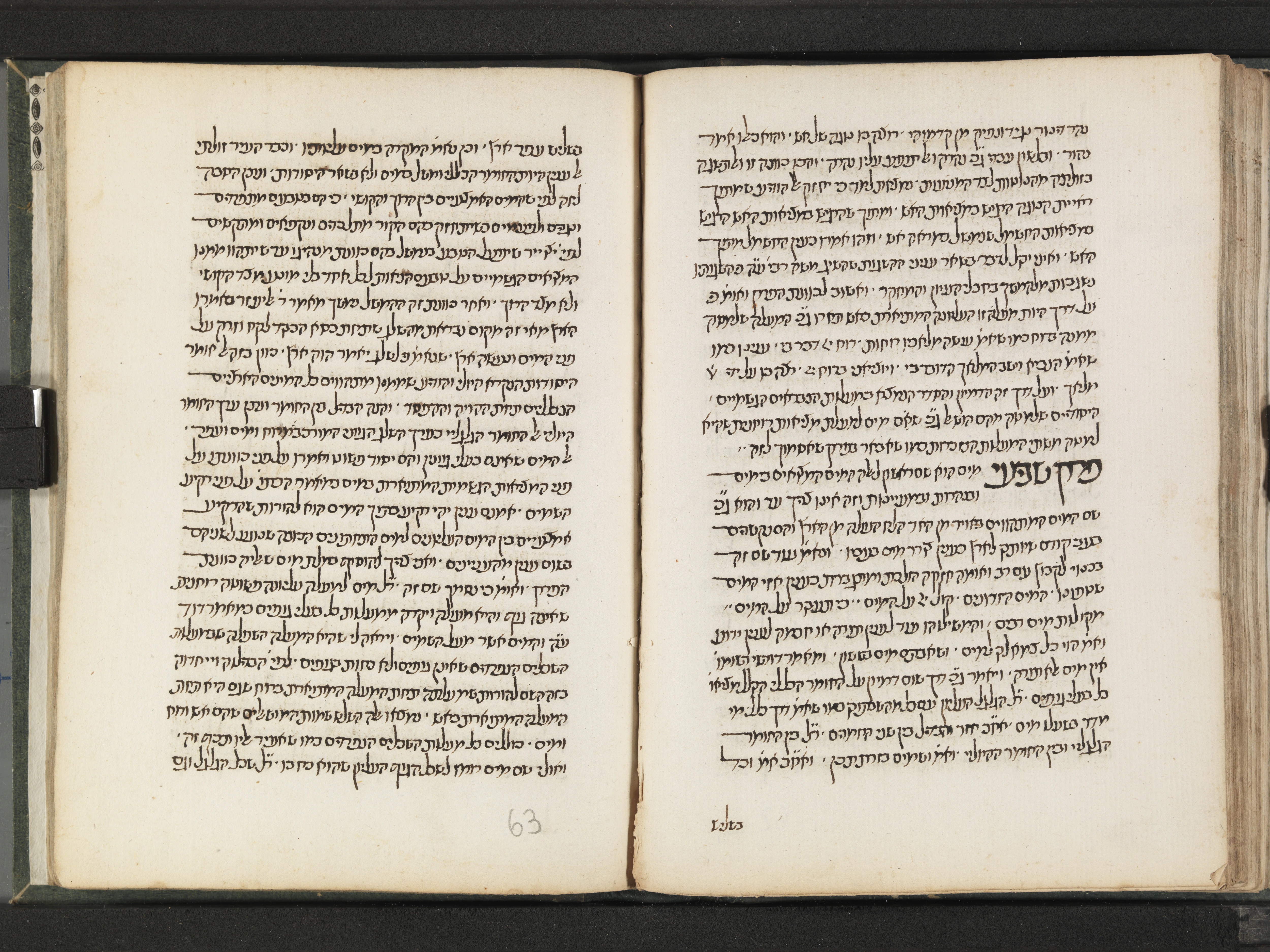 Image of item, e.g. a manuscript page