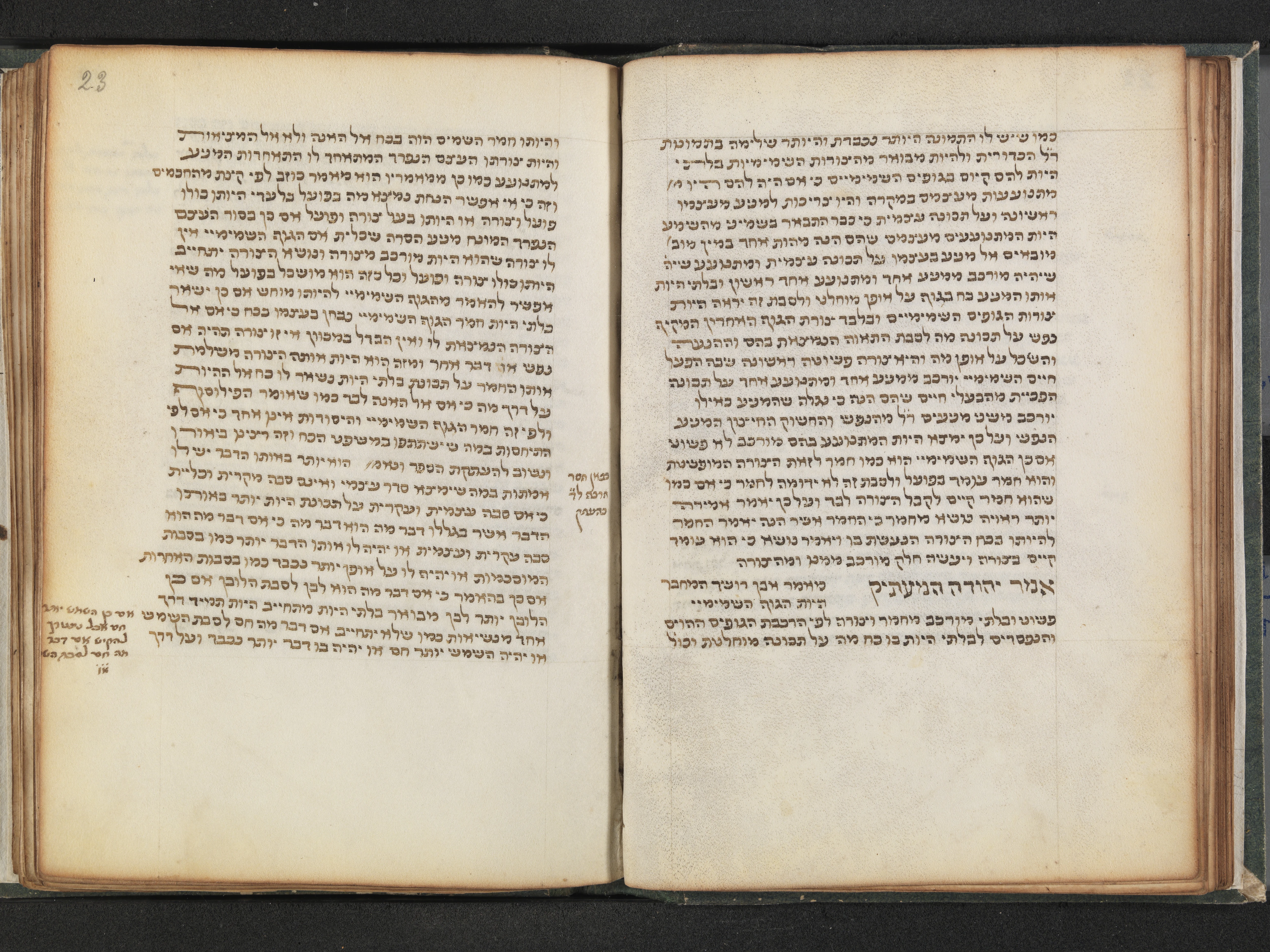 Image of item, e.g. a manuscript page