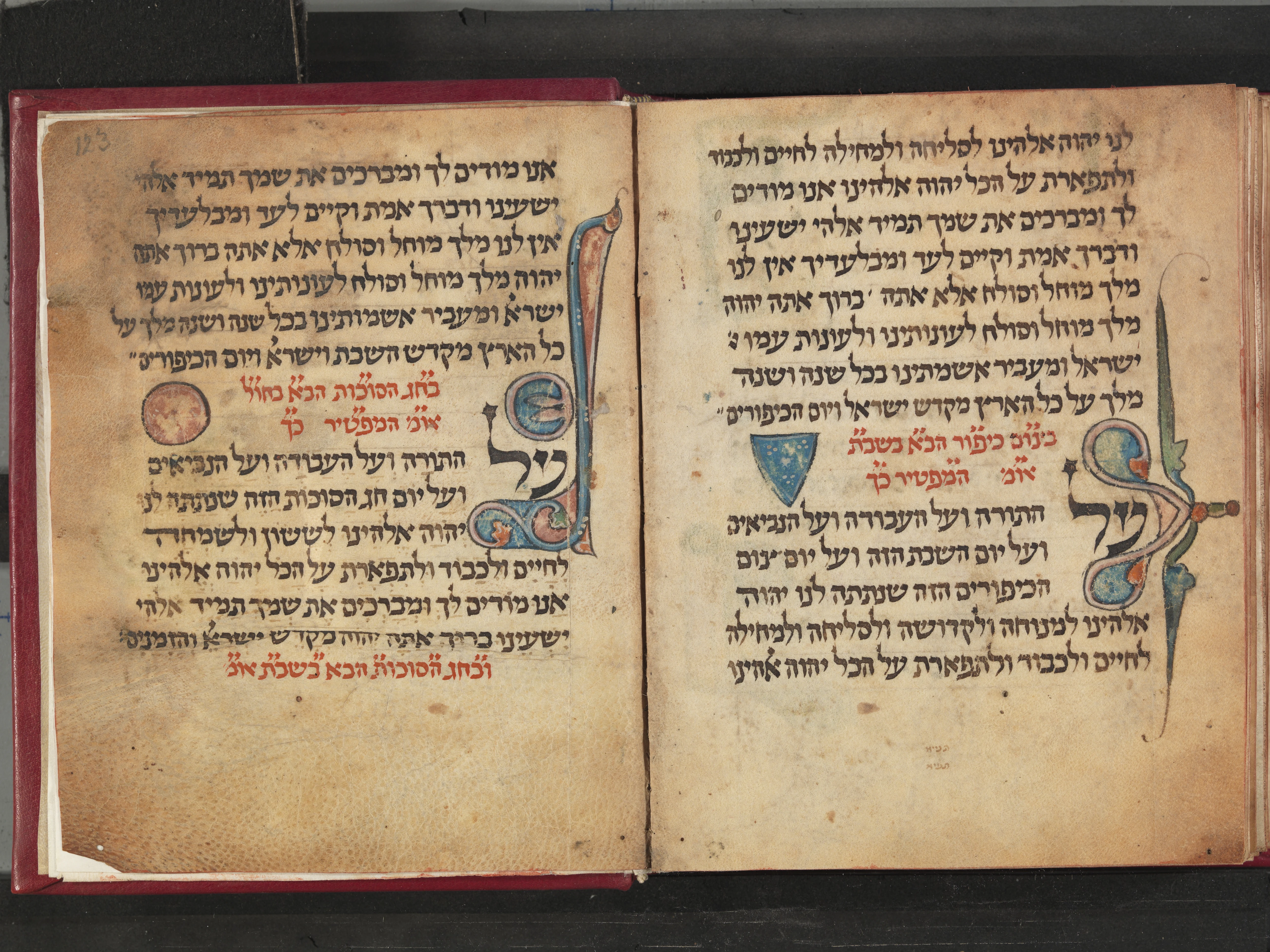 Image of item, e.g. a manuscript page