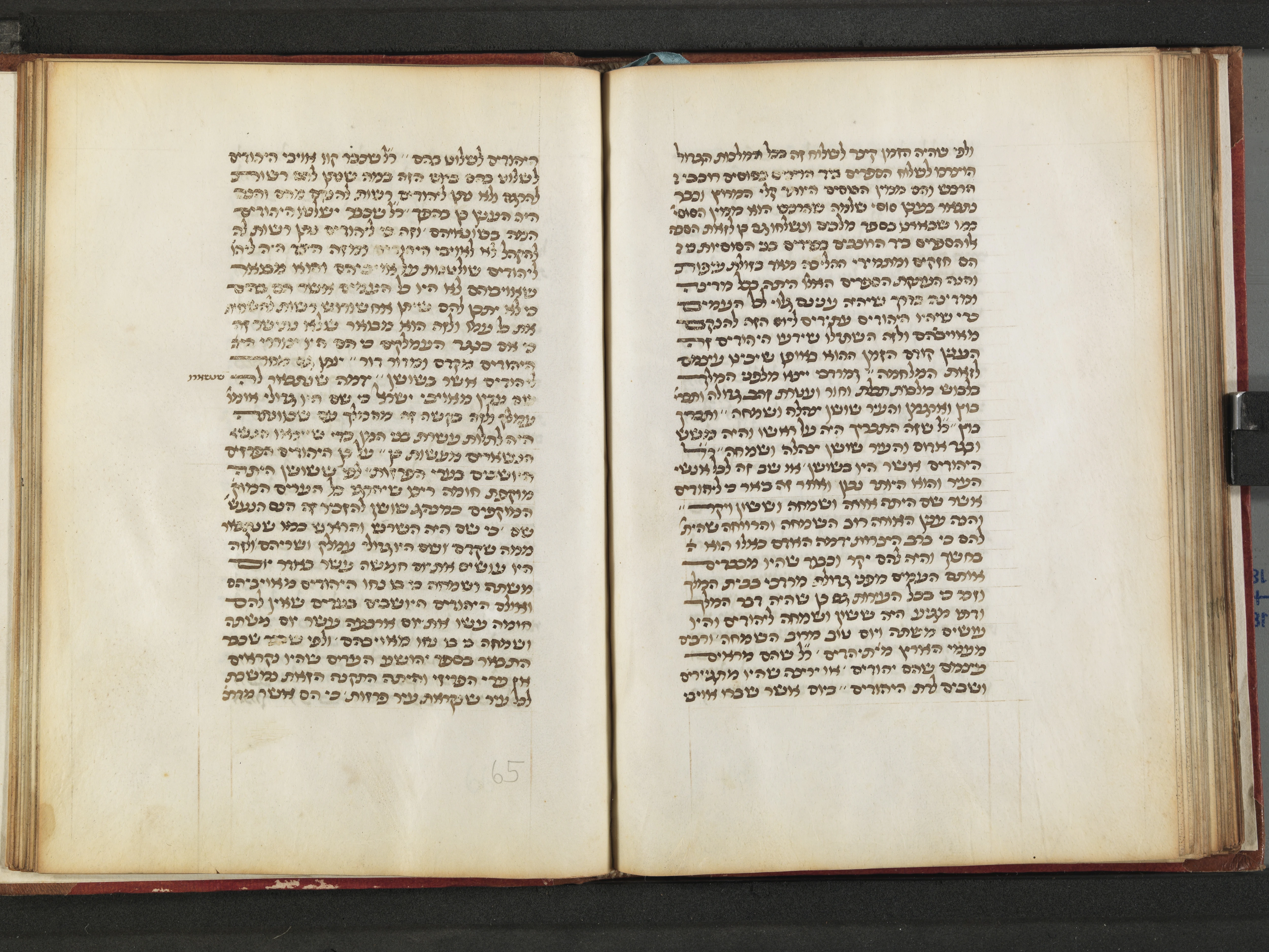 Image of item, e.g. a manuscript page