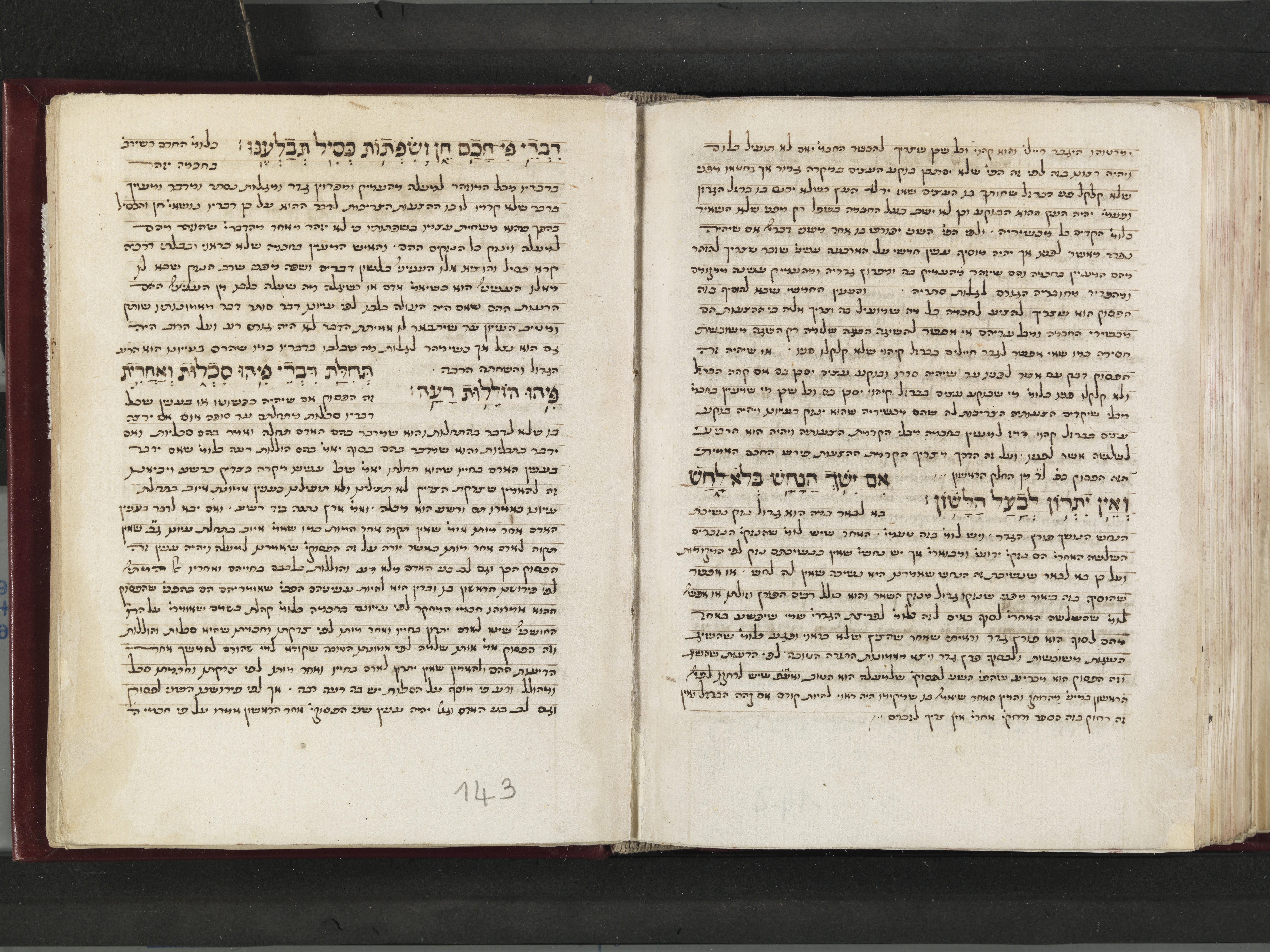 Image of item, e.g. a manuscript page