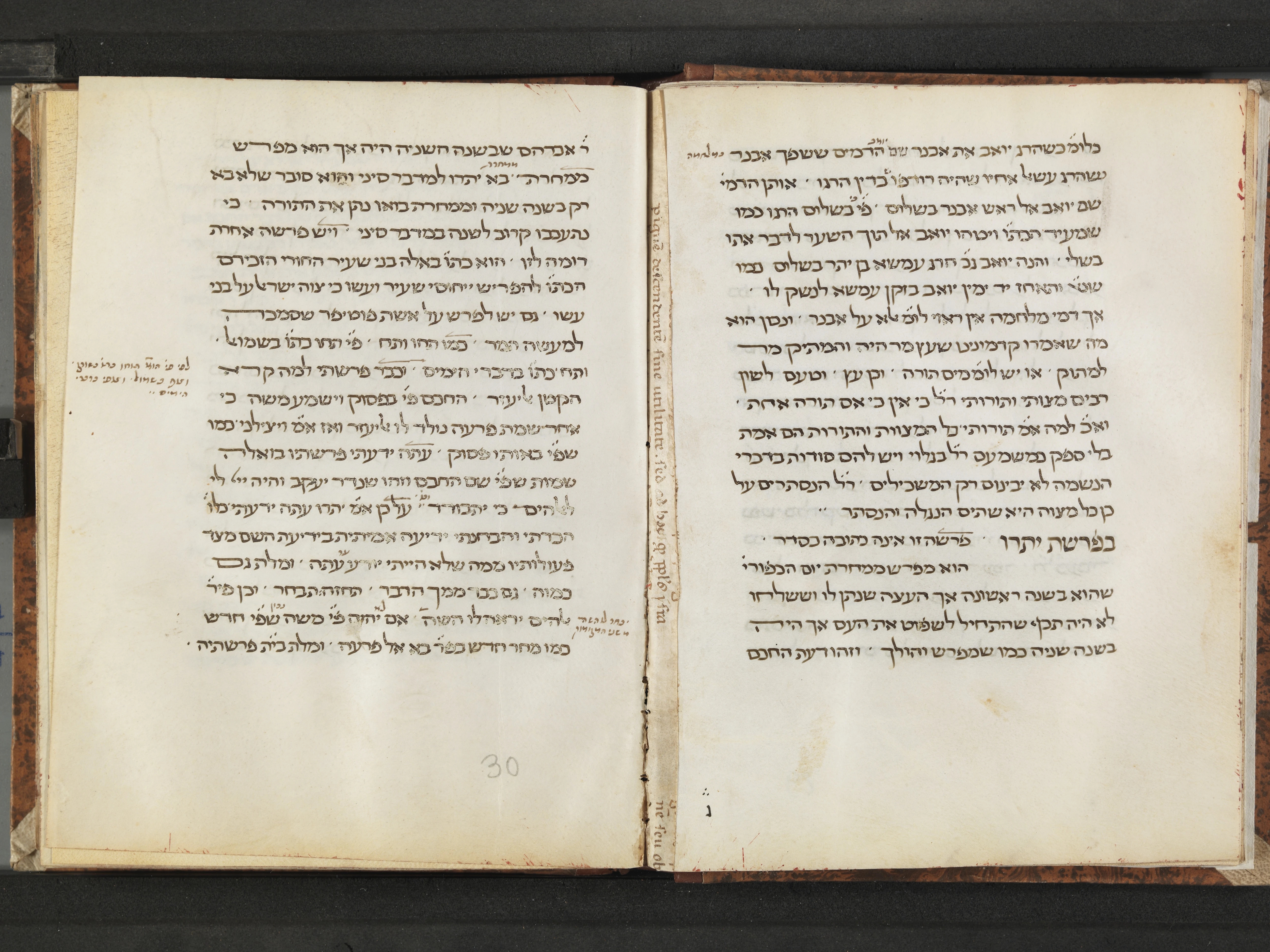 Image of item, e.g. a manuscript page