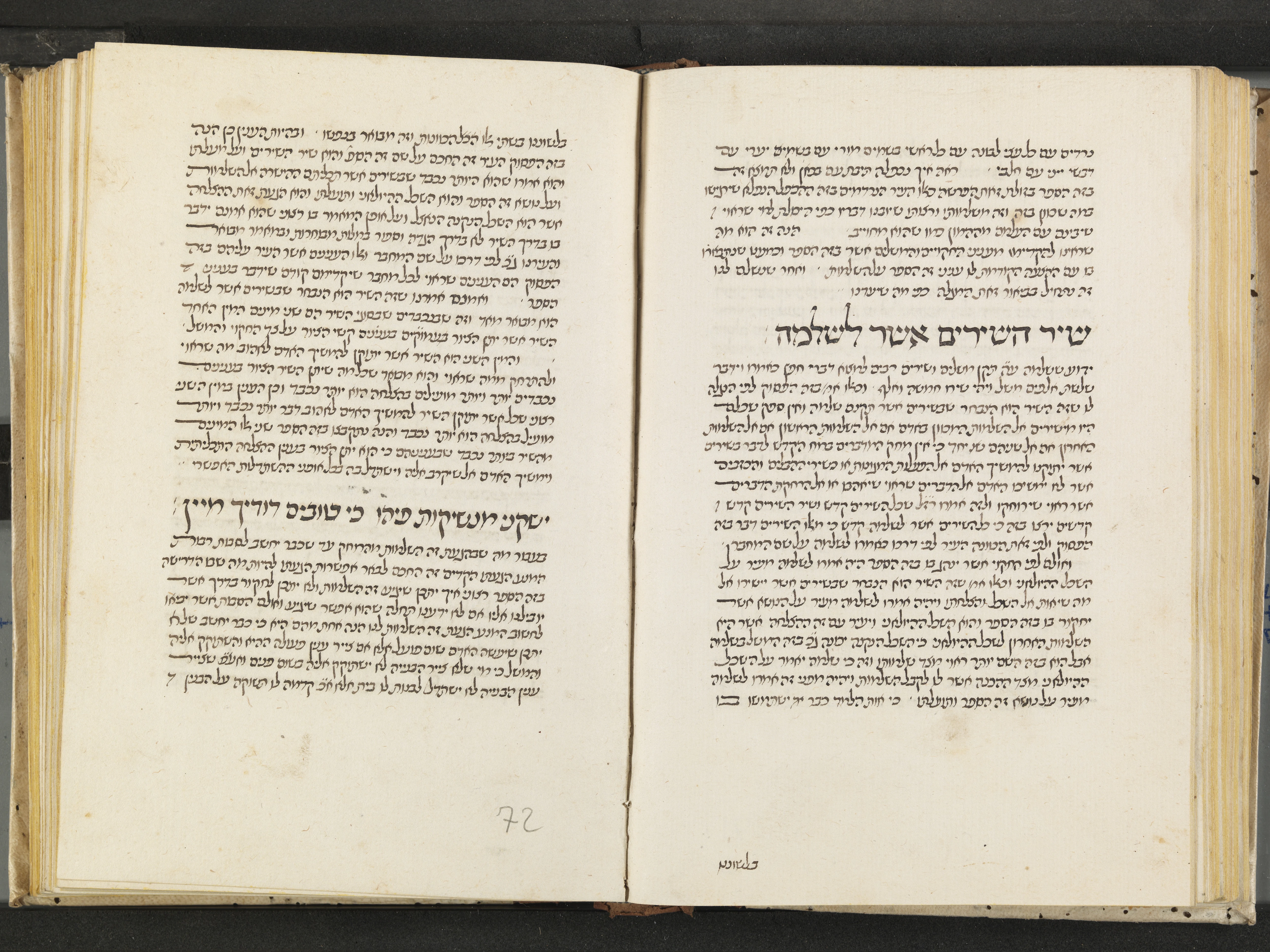 Image of item, e.g. a manuscript page