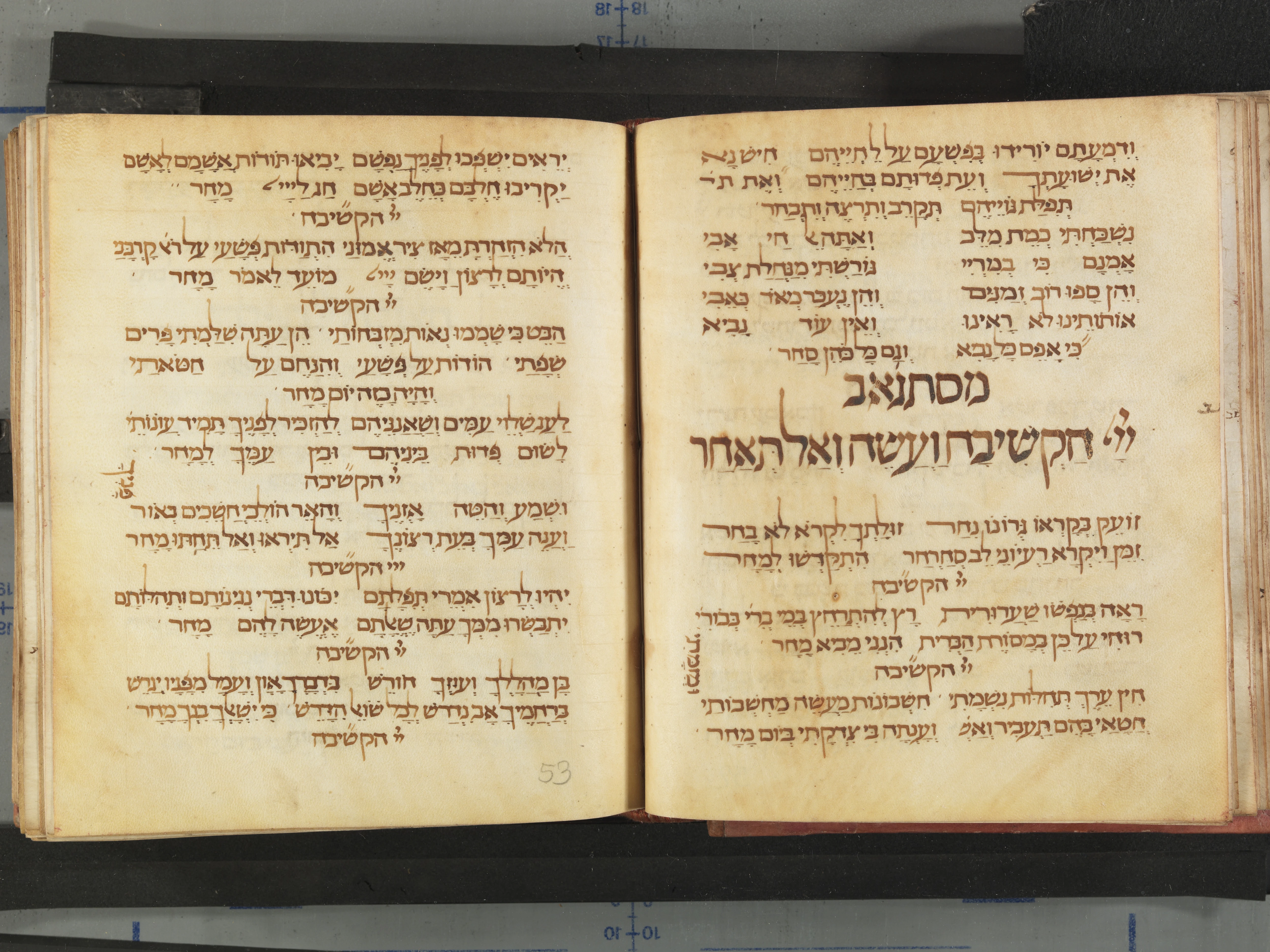 Image of item, e.g. a manuscript page